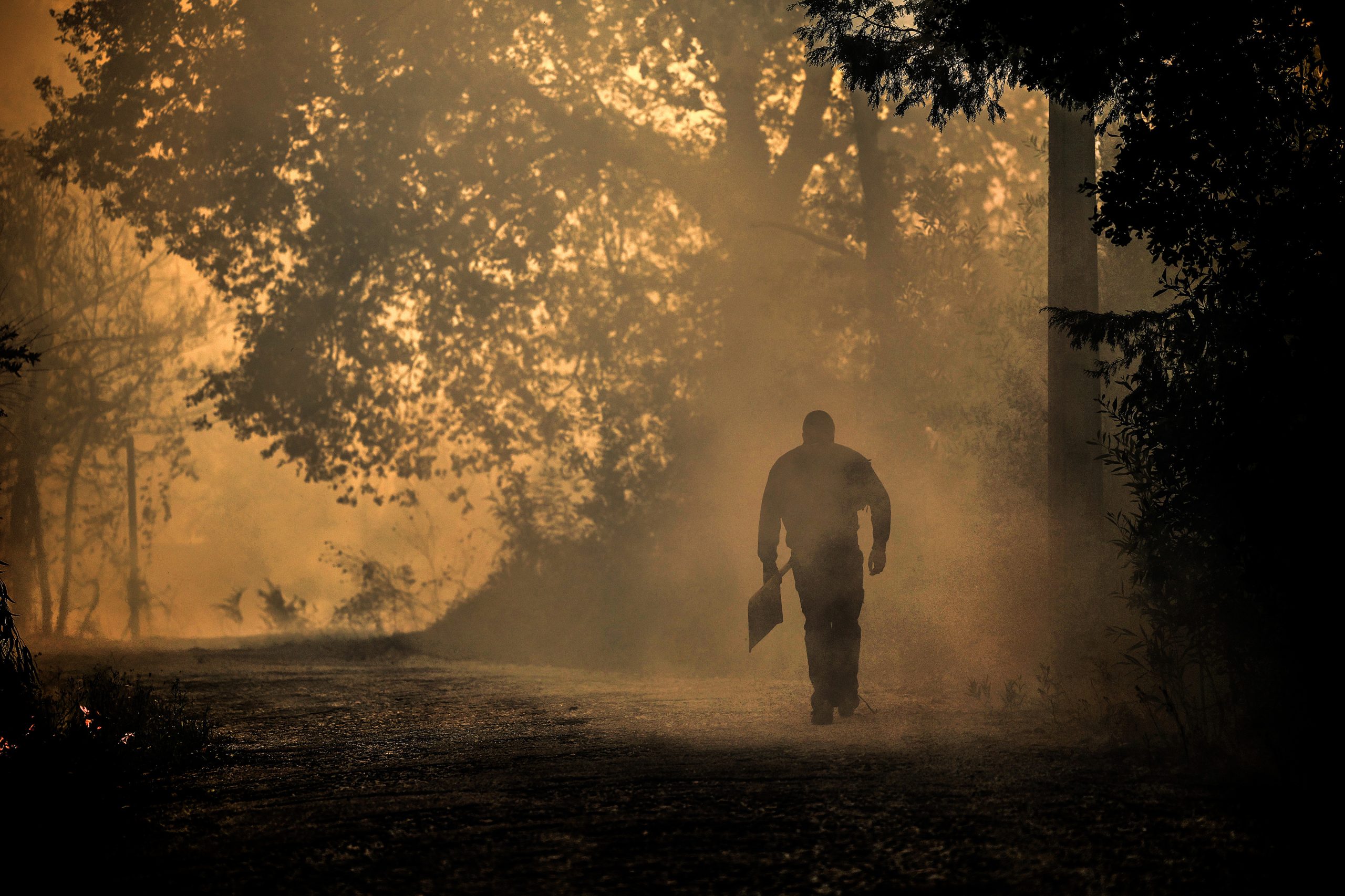 Dois mortos em Sever do Vouga e Albergaria-a-Velha