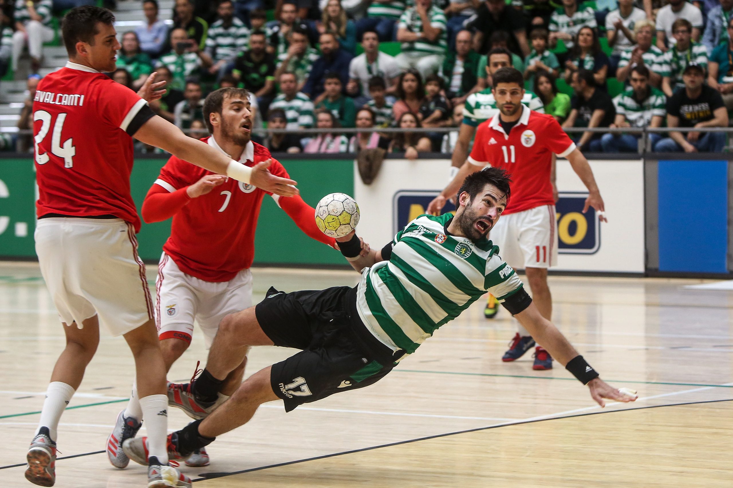 Sporting CP: Tiago Rocha enaltece papel do treinador na conquista do bicampeonato de andebol