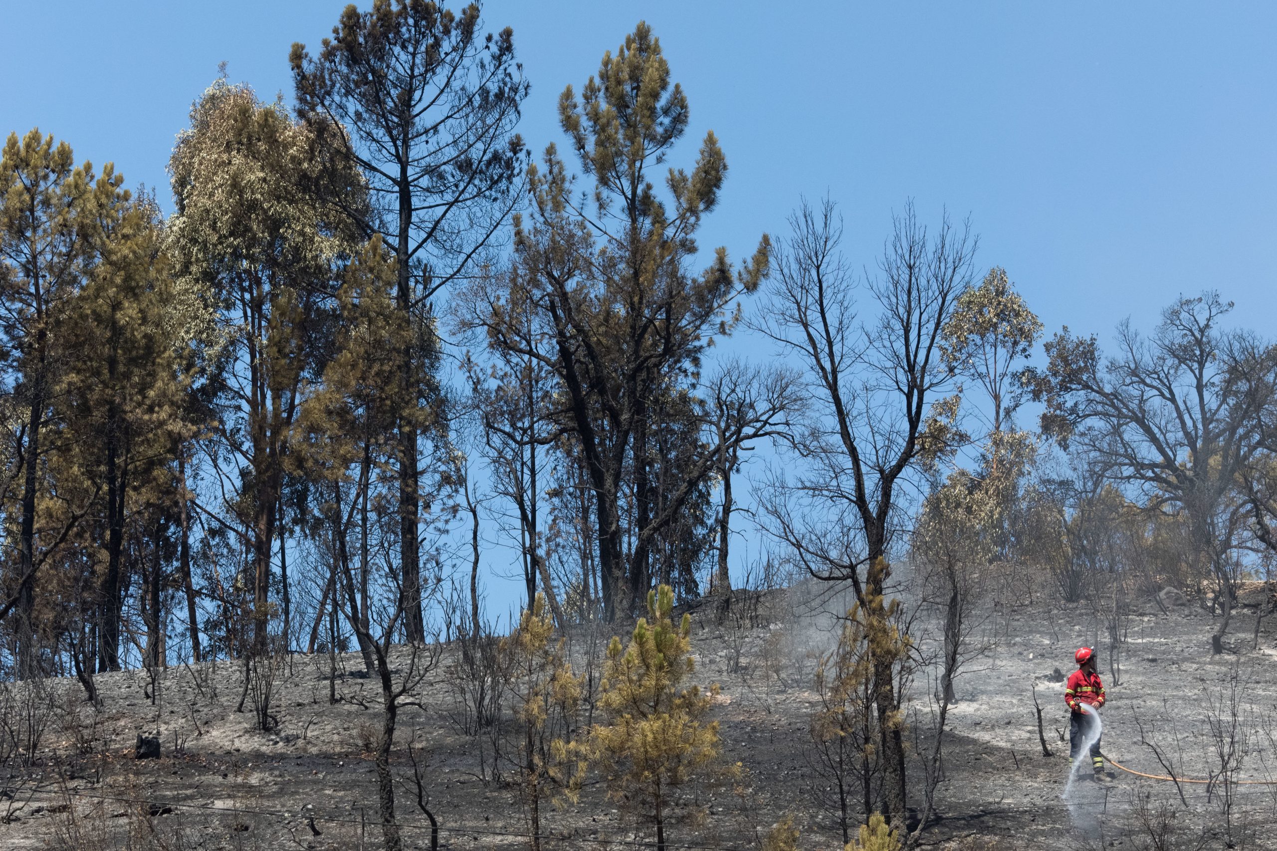 Fogo em Pombal entrou em resolução às 17h20