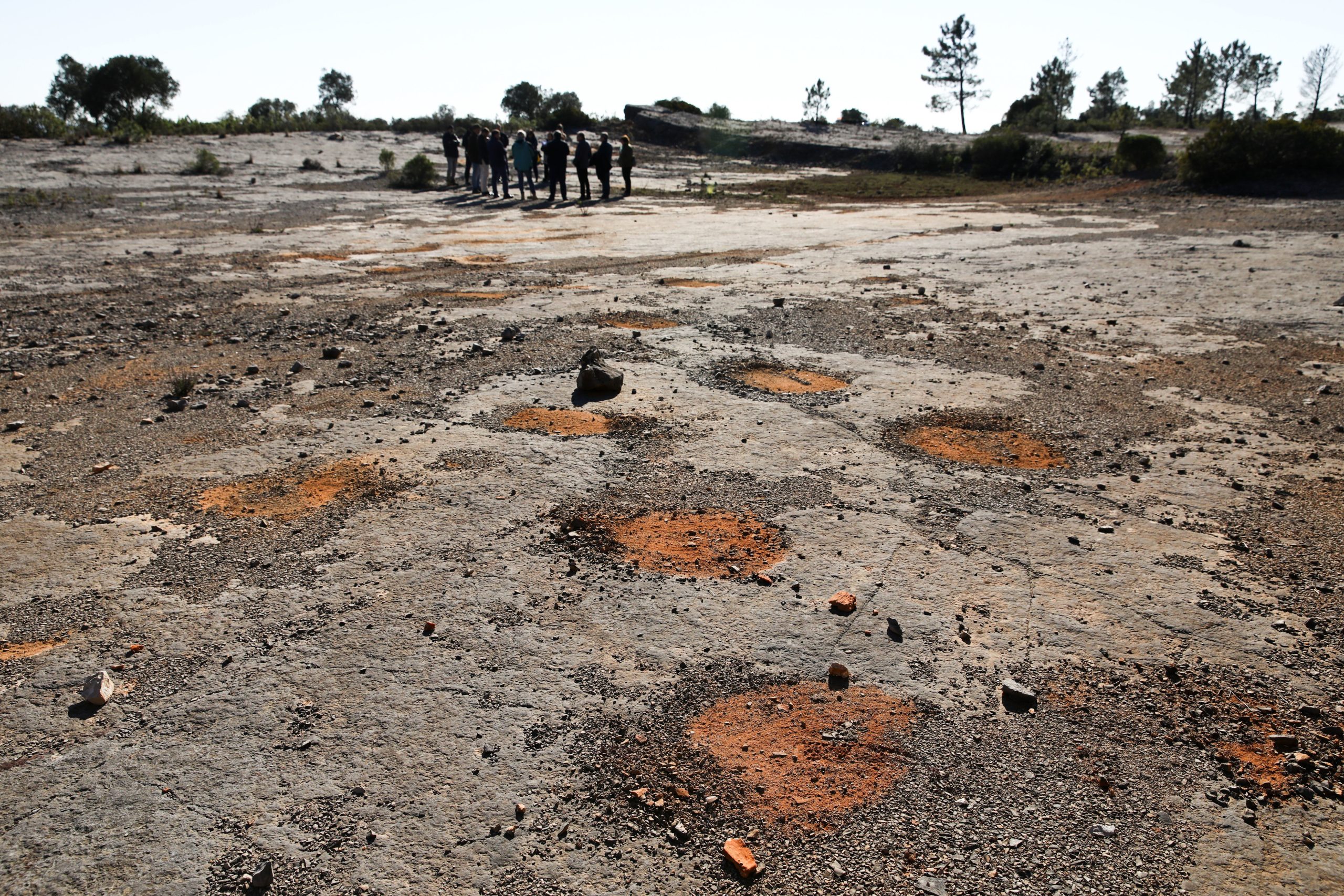 Em Pedrógão há pegadas de dinossauros e agora são públicas