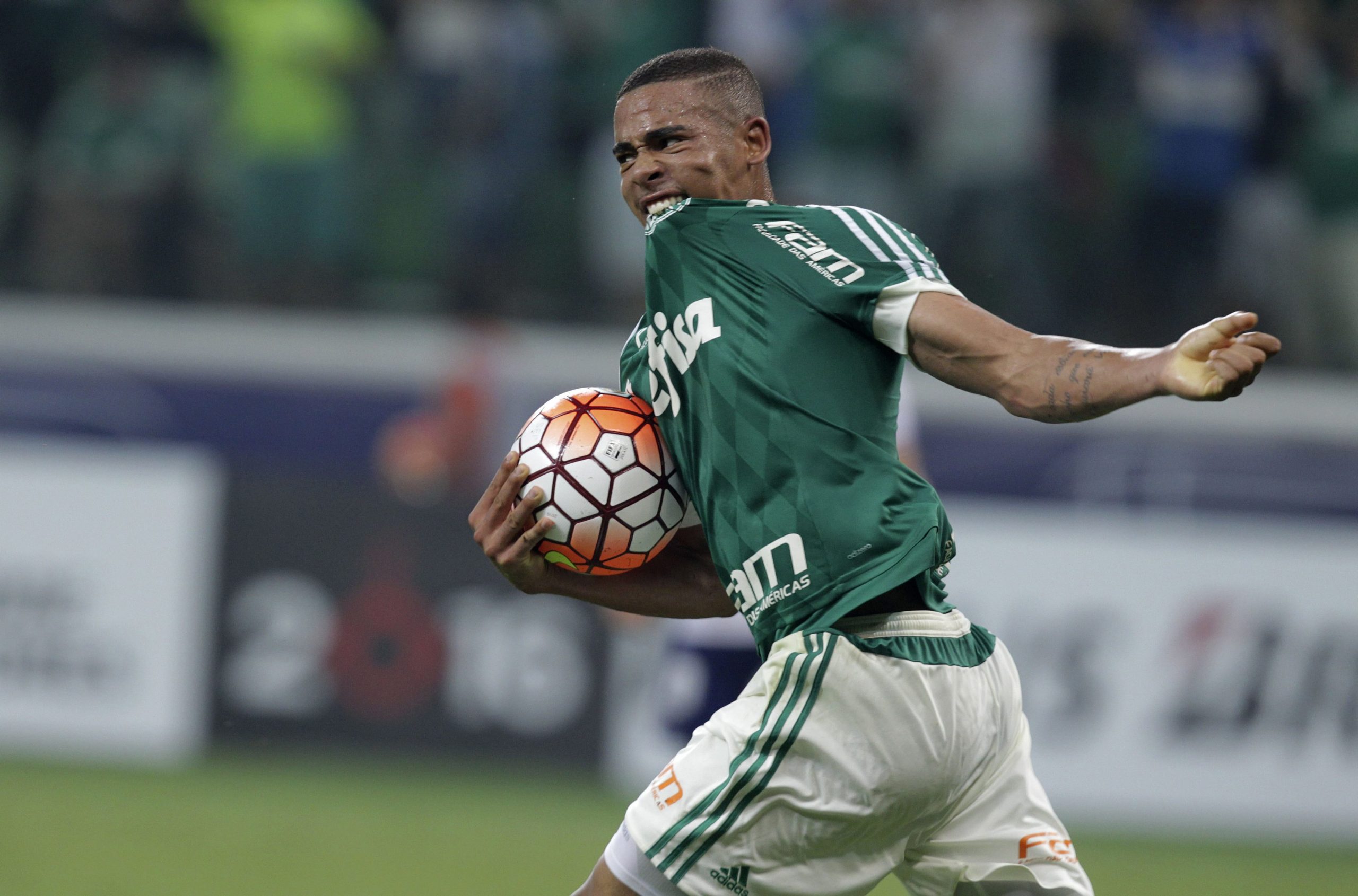 Palmeiras volta a ser campeão brasileiro 22 anos depois