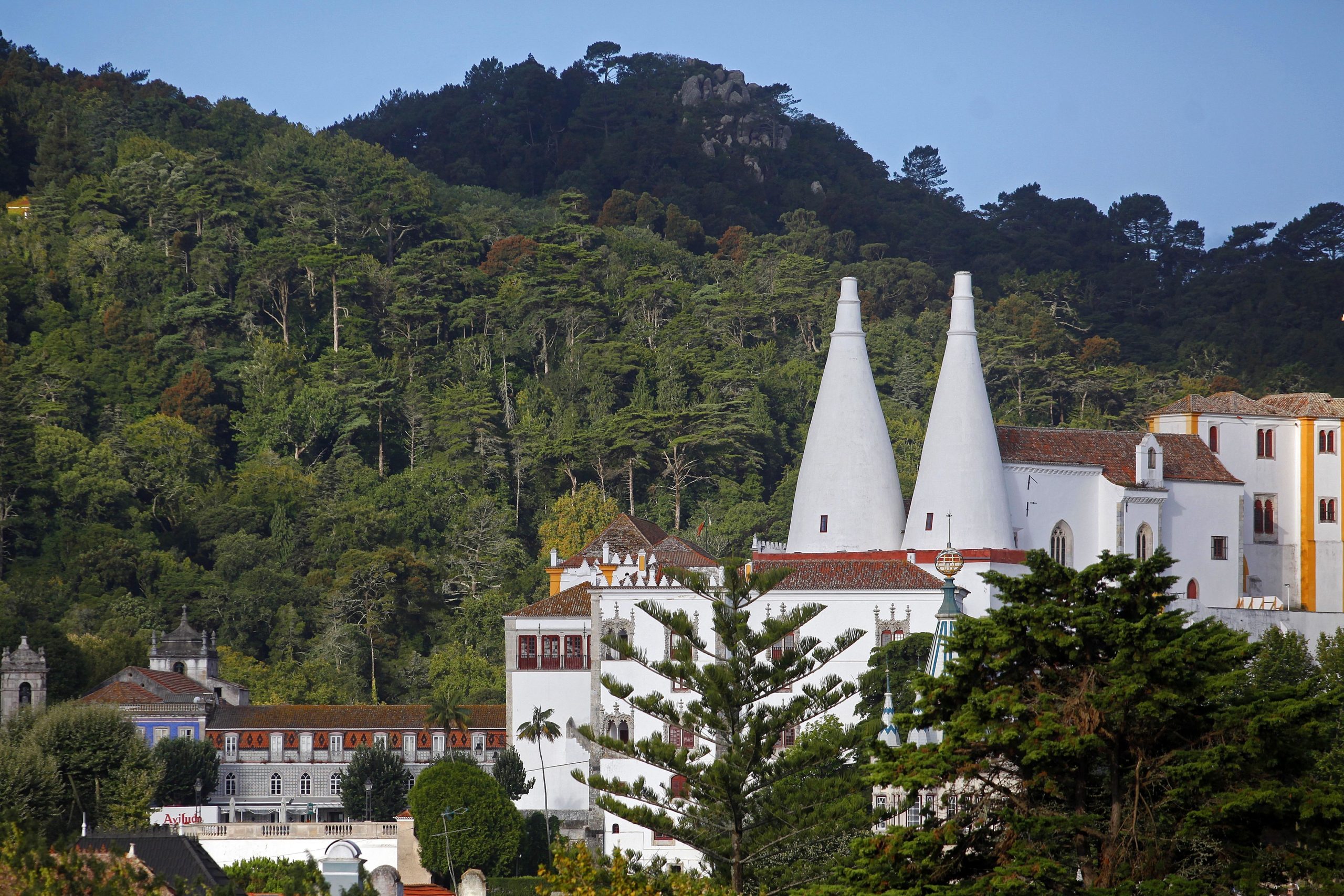 Covid-19: Parques de Sintra reabre monumentos na segunda-feira com novas regras