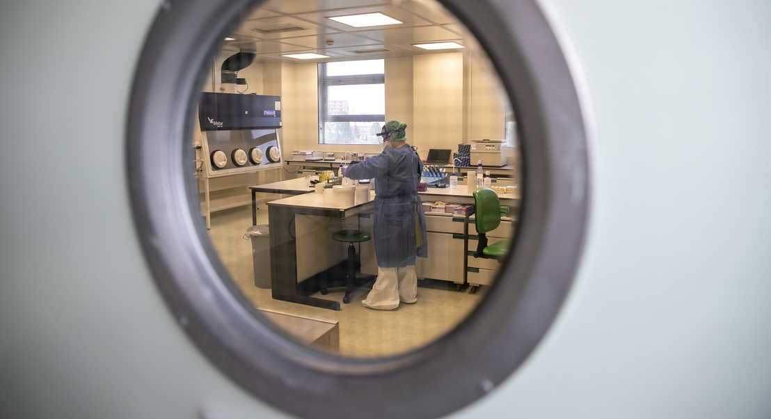 Máscaras ou maçanetas que destroem os vírus? A resposta pode estar na combinação de nanotecnologia e biomateriais