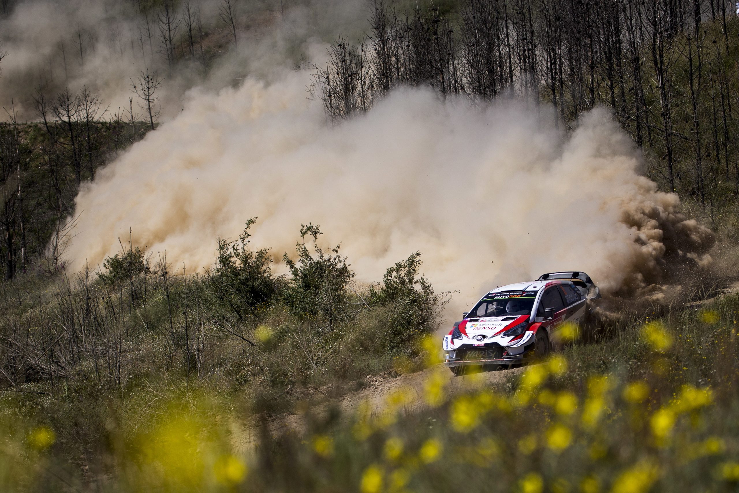 Tanak tenta defender a liderança no dia mais longo do Rali de Portugal