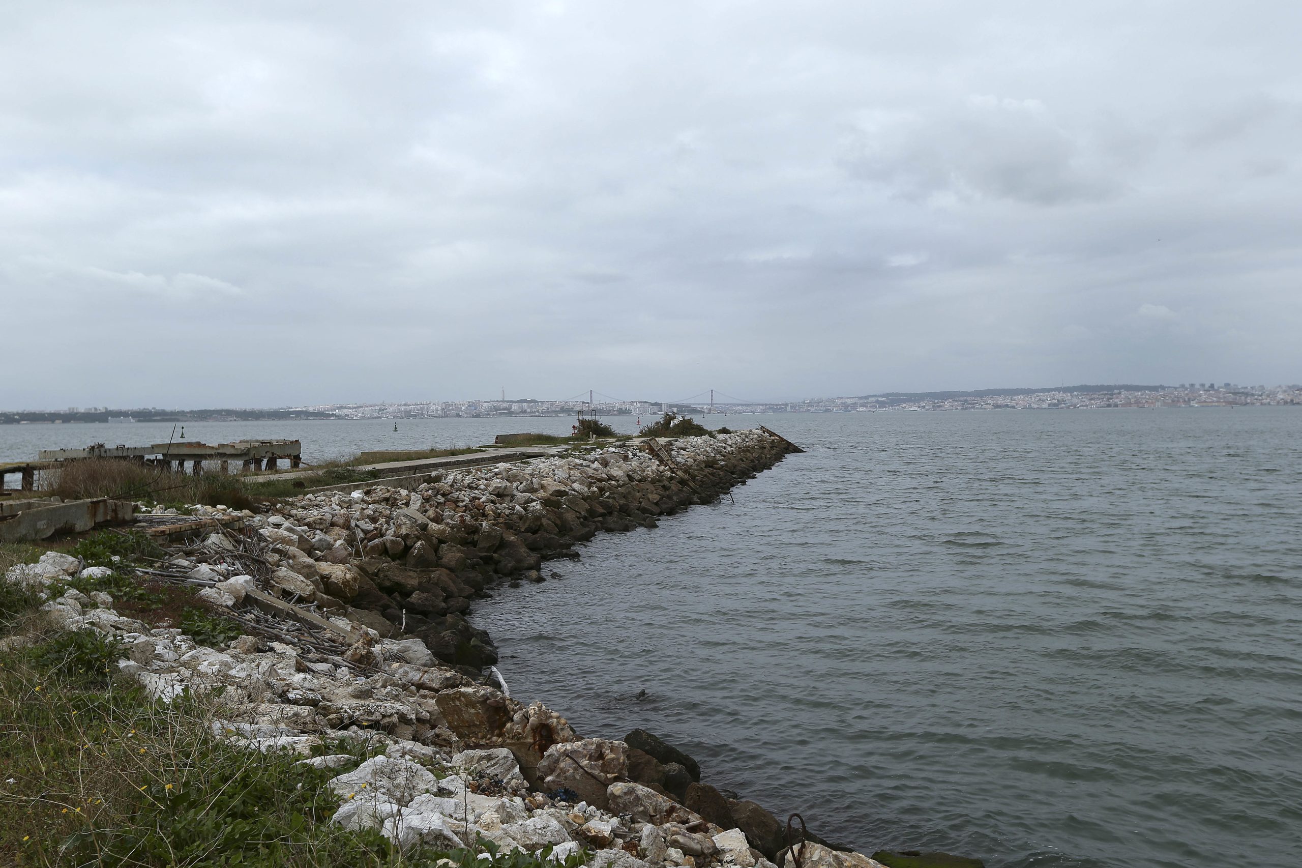 Câmara do Barreiro diz que é preciso “fechar a porta” ao terminal de contentores