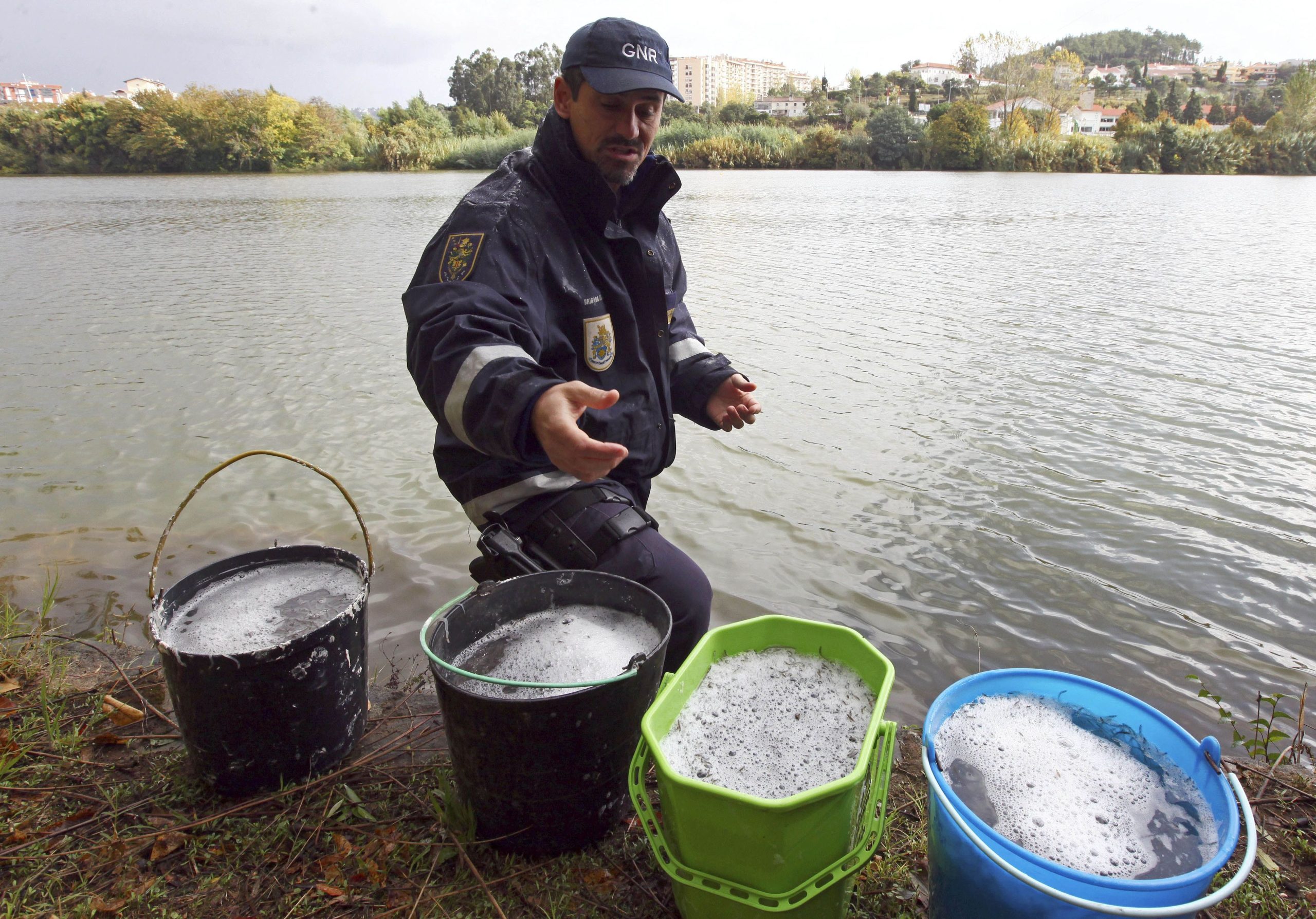 Três pessoas detidas por captura ilegal de meixão no rio Mondego