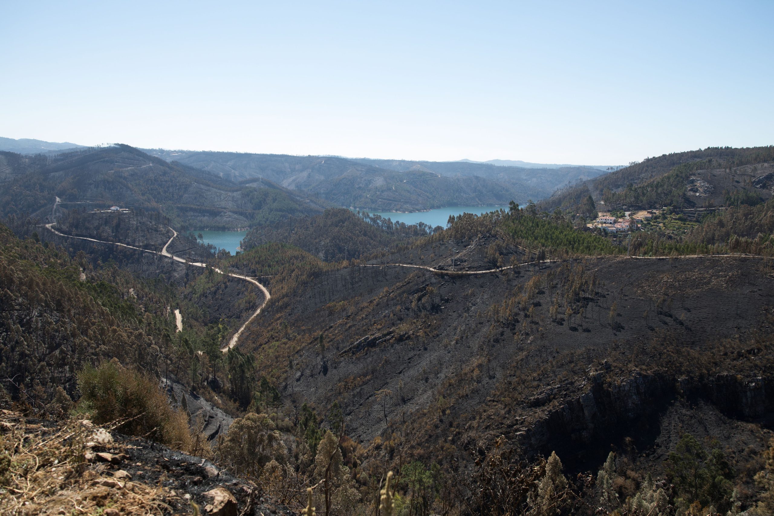 Incêndios: Governo vai criar grupo de trabalho para recuperação de áreas ardidas