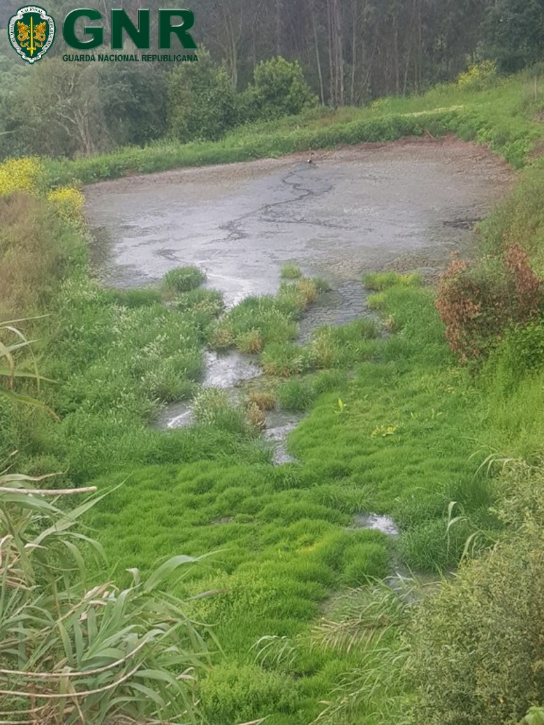 GNR deteta descarga ilegal de efluentes pecuários nas Caldas da Rainha