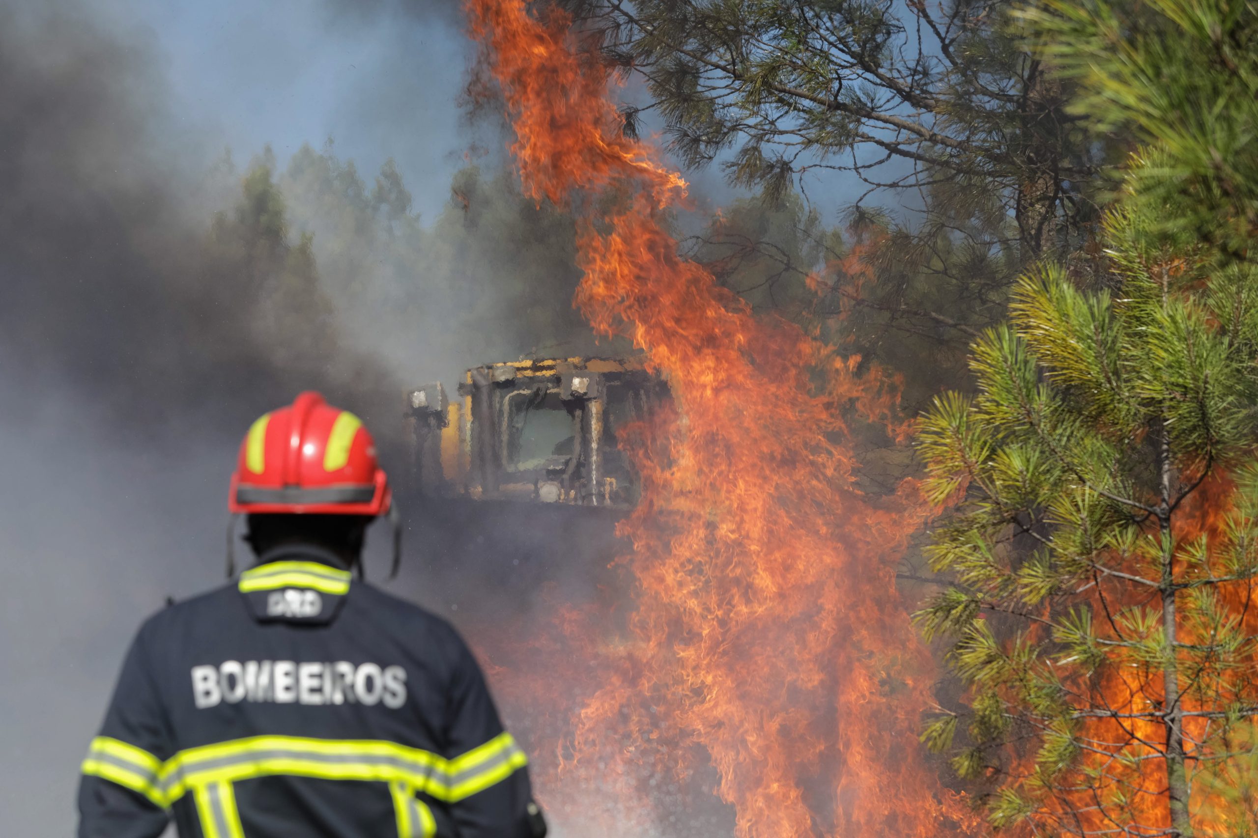 Incêndios: Reativação em Pombal obriga à intervenção de 280 bombeiros