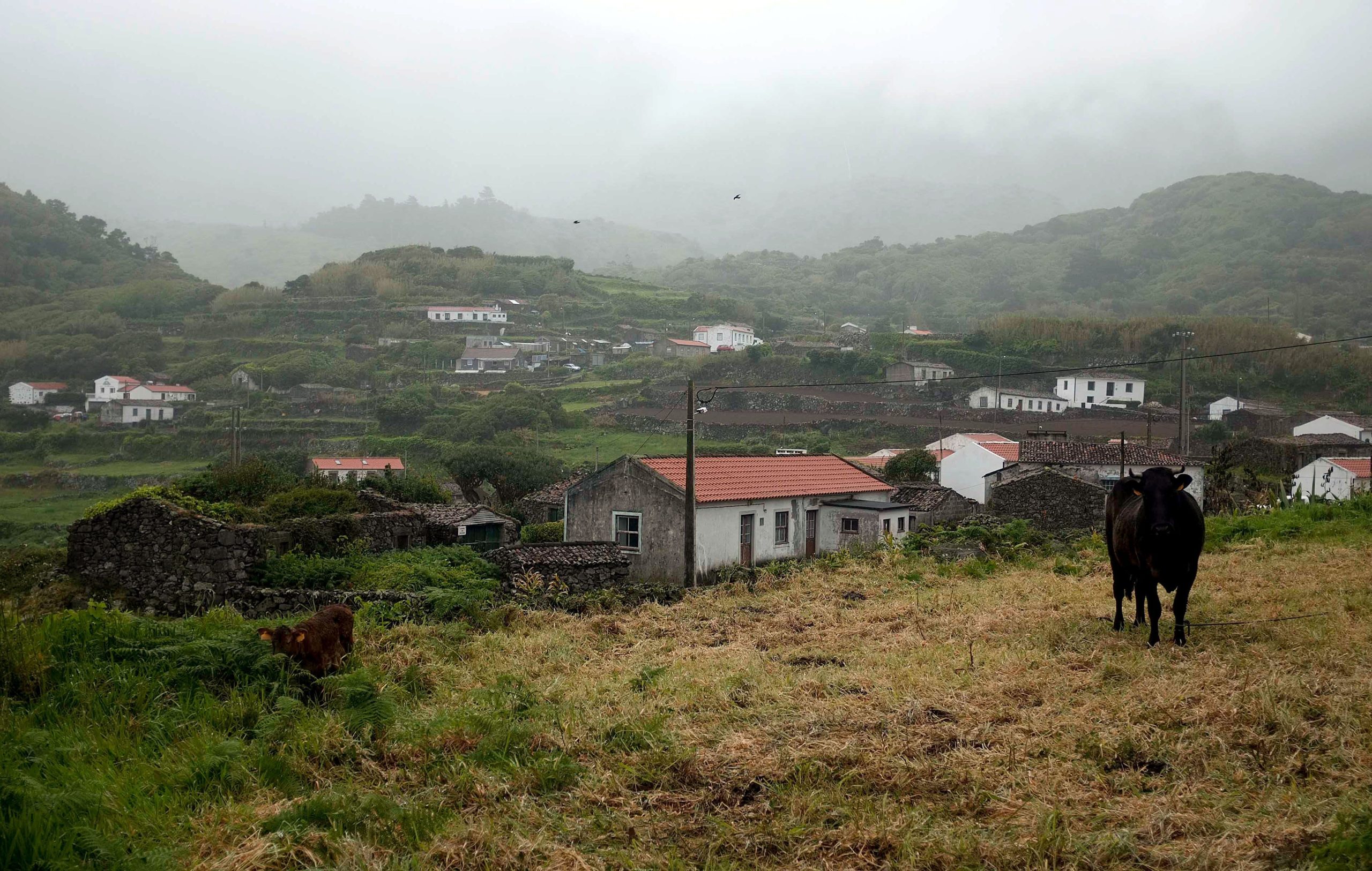 Estragos do Lorenzo ainda se fazem sentir nos Açores. Empresários das Flores admitem encerrar comércio por falta de mercadoria