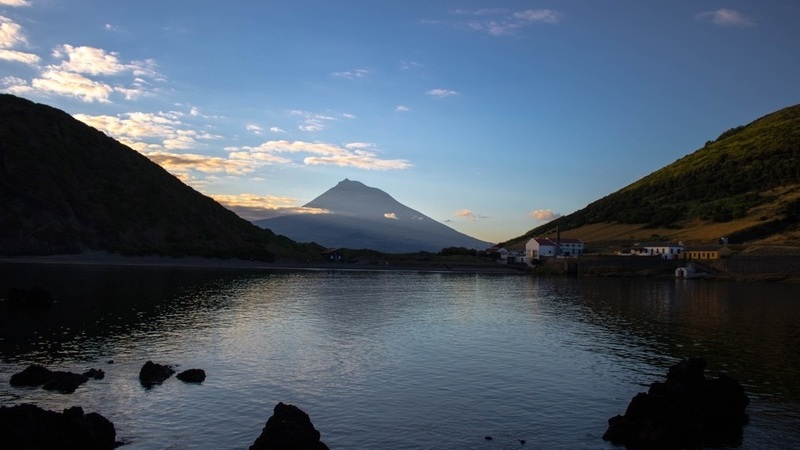 Foca-da-Gronelândia avistada na ilha do Faial