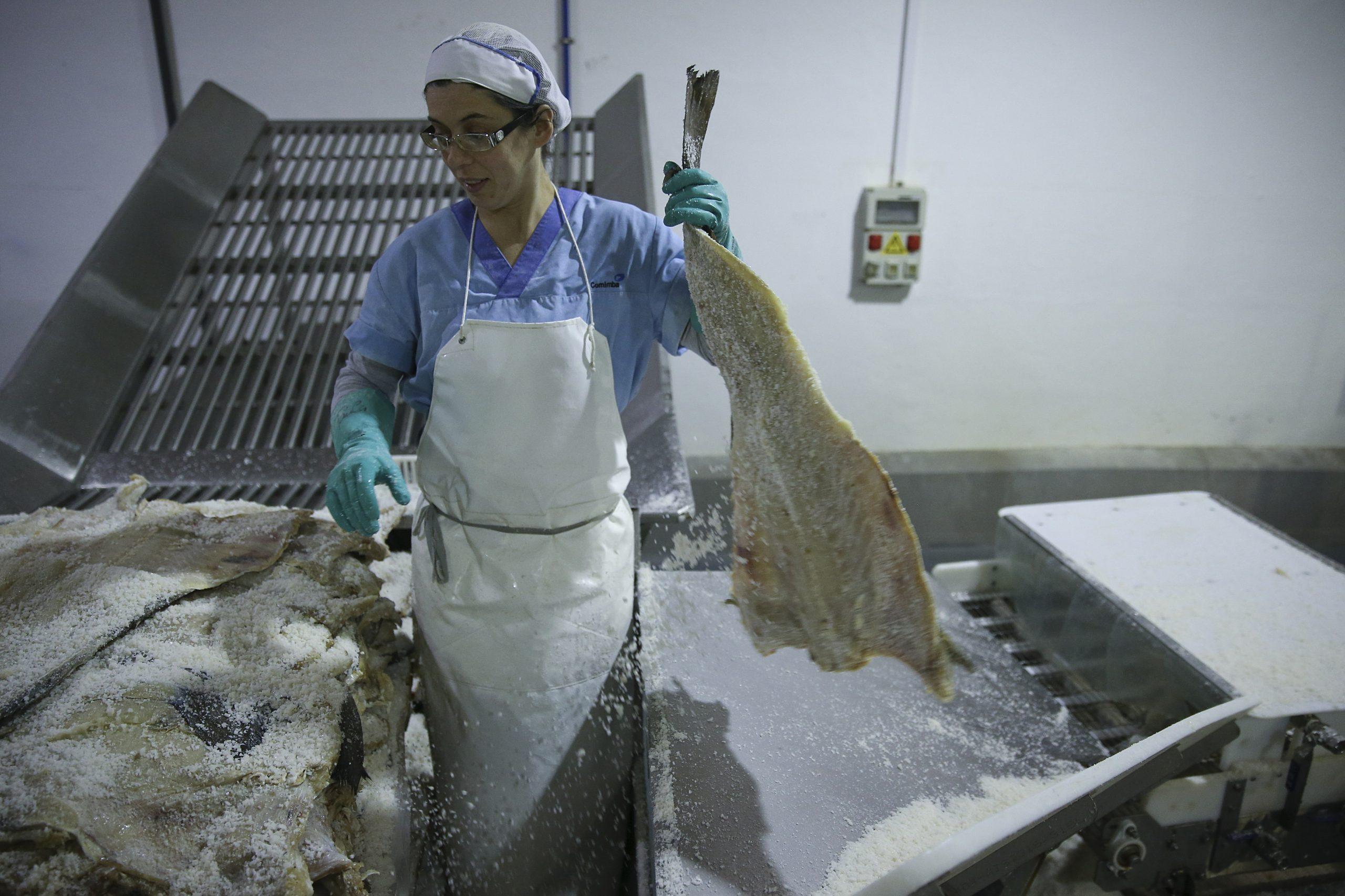 O melhor bacalhau à sua mesa. Saiba como escolher e preparar o “fiel amigo”