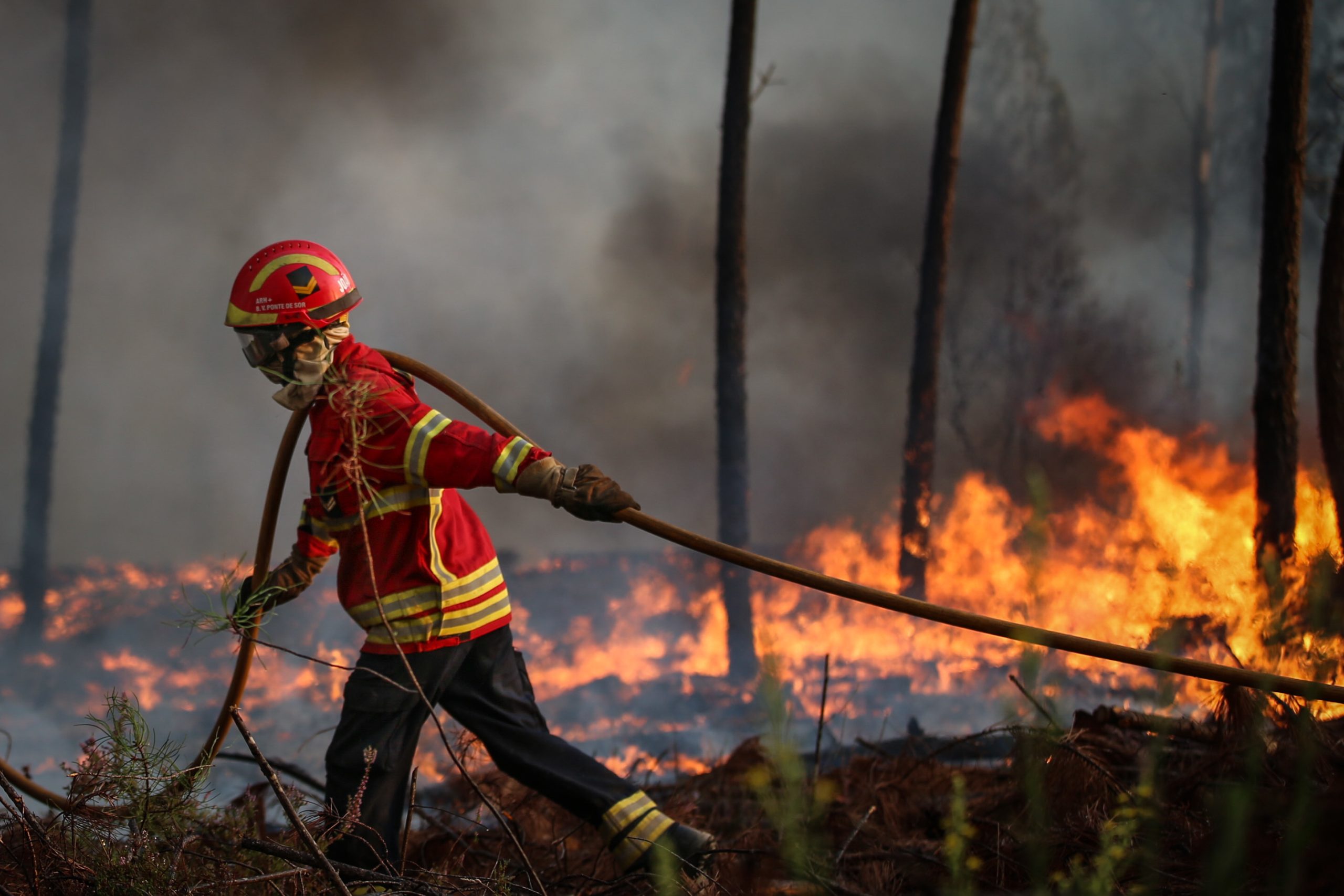 Cerca de 40 concelhos em risco muito elevado de incêndio. Máximas podem chegar aos 32º