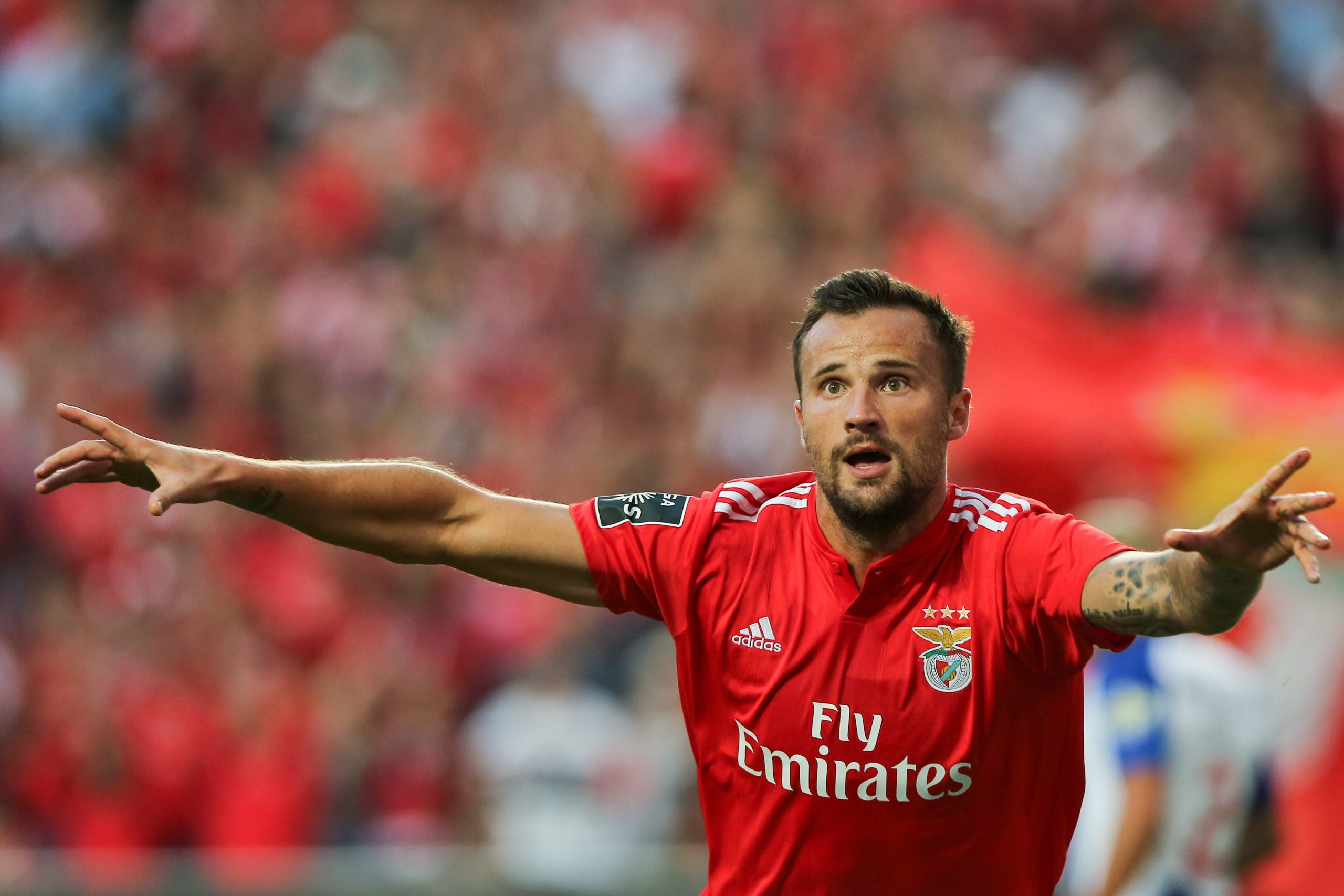Benfica vs FC Porto