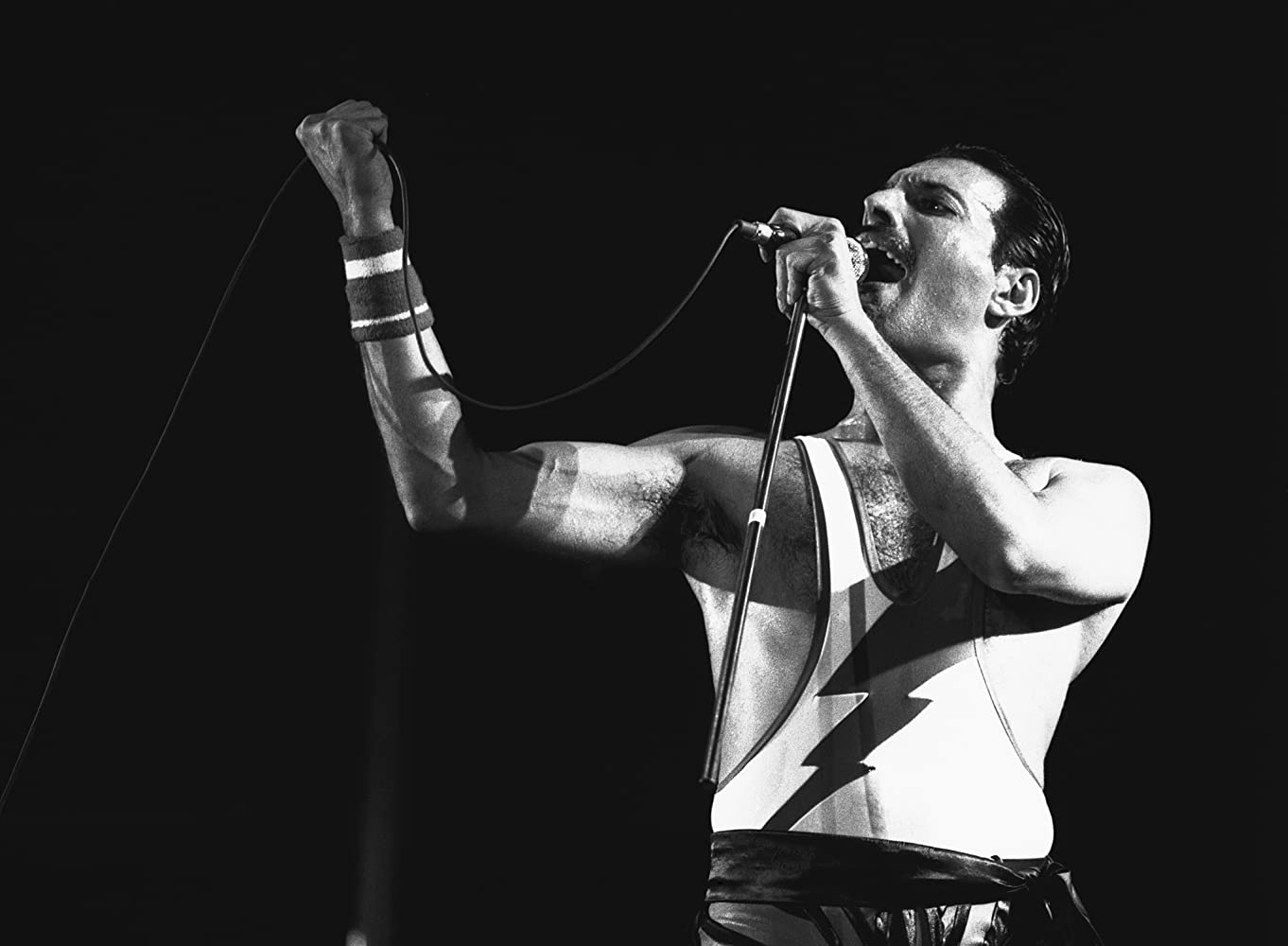 Bruno Nogueira, Beethoven e Freddie Mercury. Quem melhor para o acompanhar nesta sexta-feira?