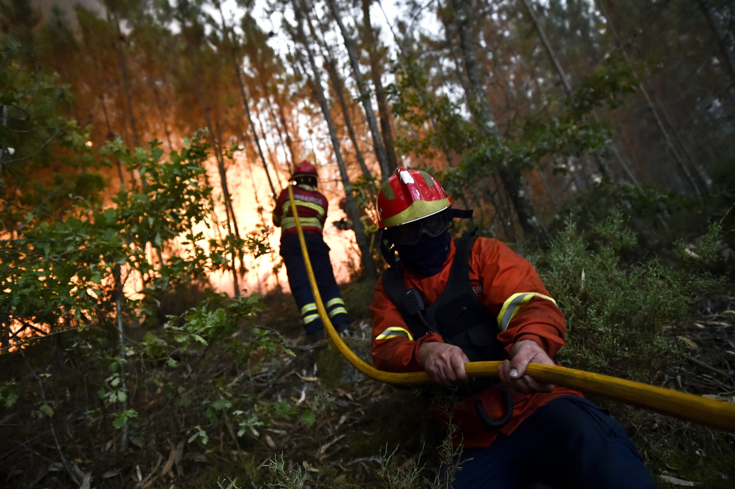 Bombeiros: Federação exige espaço de reivindicação igual ao da Liga