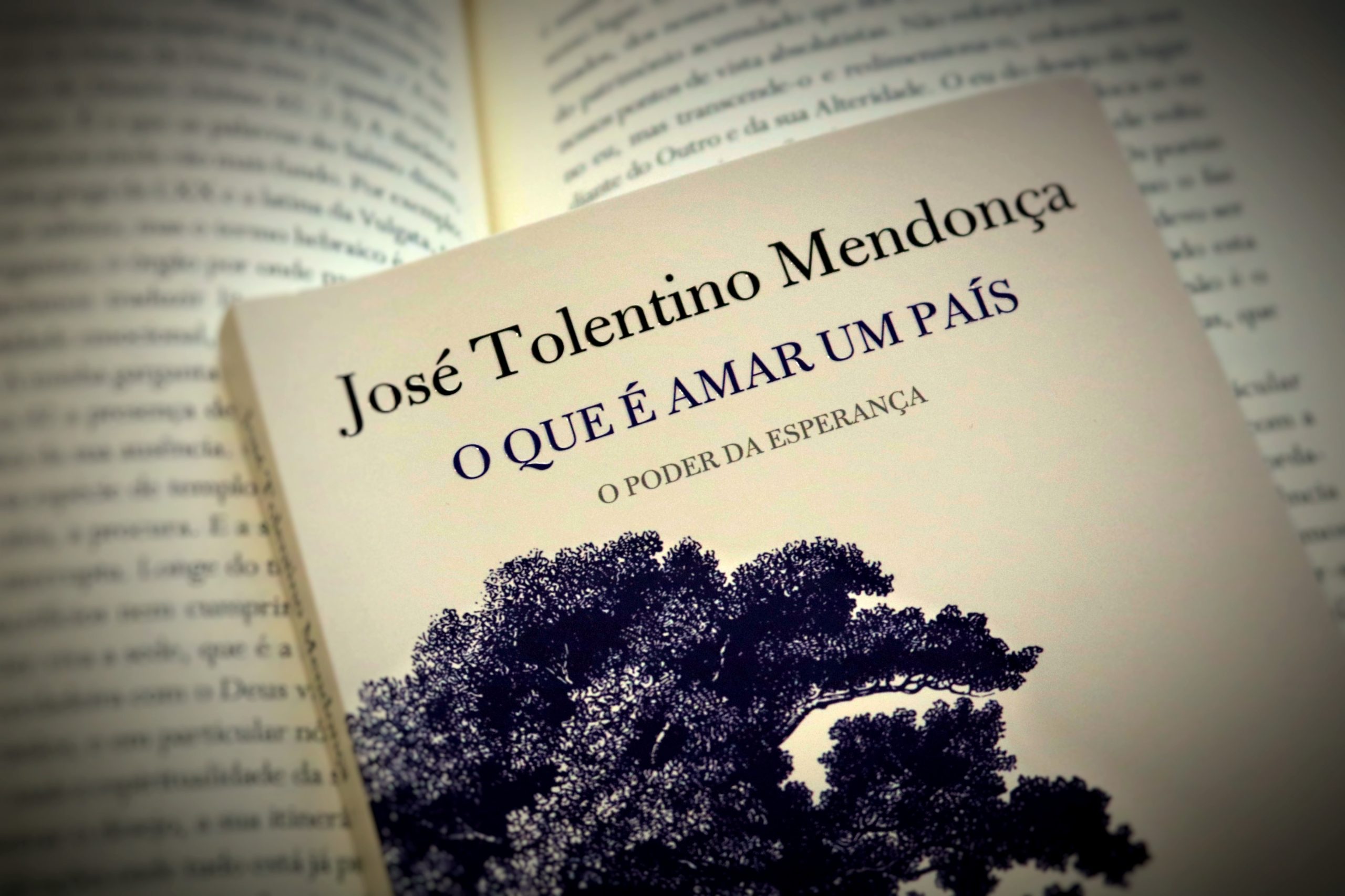 “Nunca mais respiraremos da mesma maneira”. As inquietações de Tolentino Mendonça (que são nossas também)
