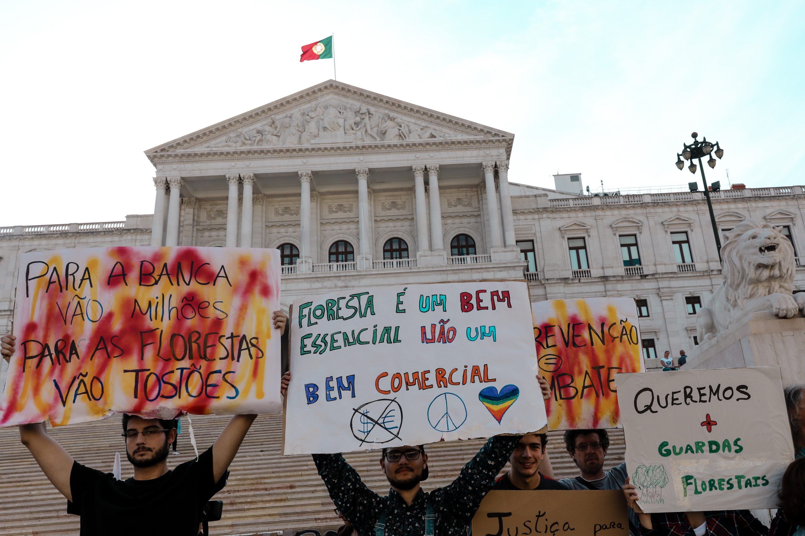 Concentração em frente à Assembleia da República a favor de nova política florestal com pouca adesão