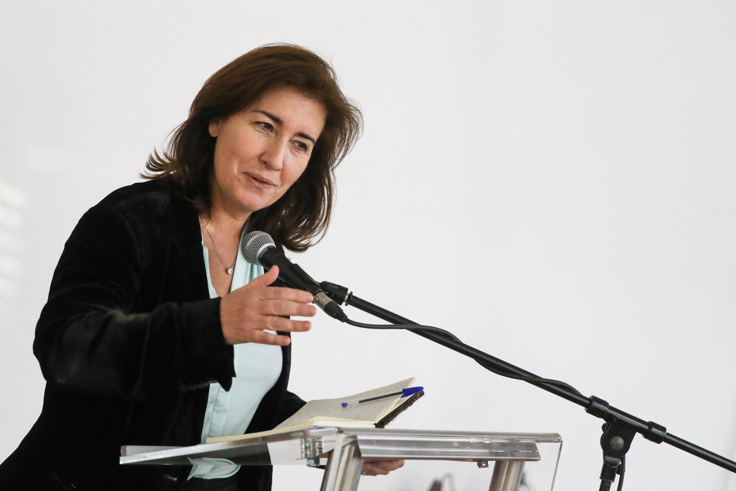 Autárquicas: Carneiro e Tavares juntos em Sintra depois de aprovada coligação
