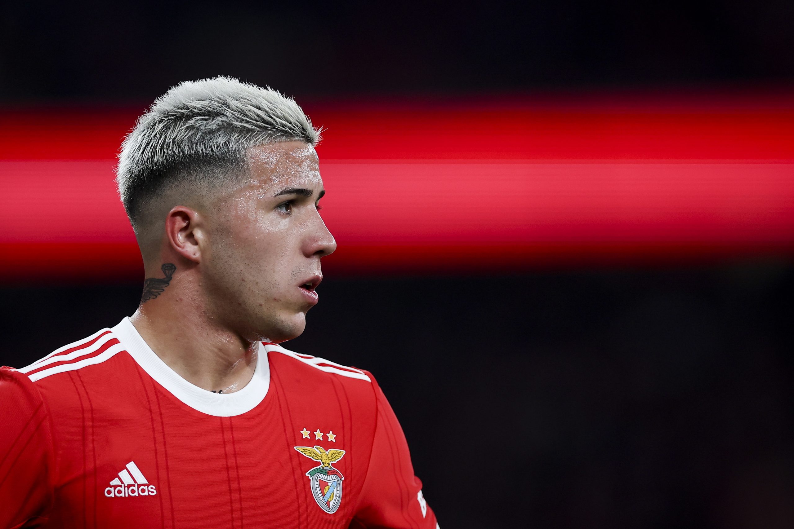 Benfica vende Enzo Fernández ao Chelsea por 121 milhões de euros