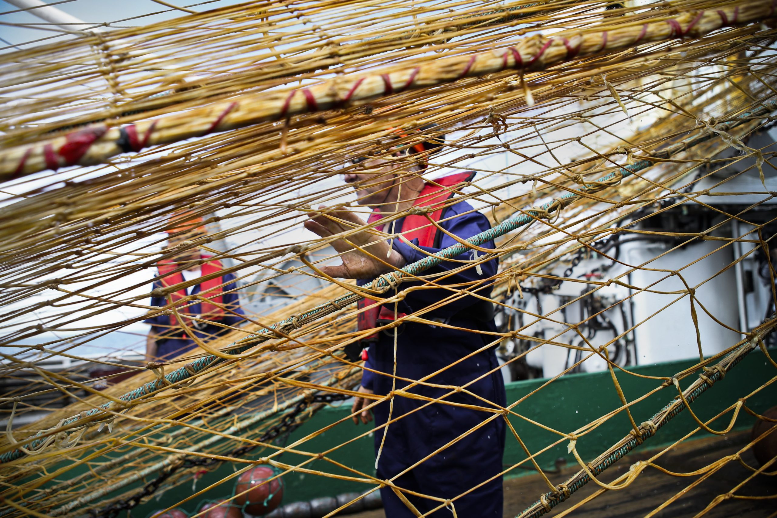 Presidência da UE: Portugal liderará negociações de pesca com Reino Unido e Noruega