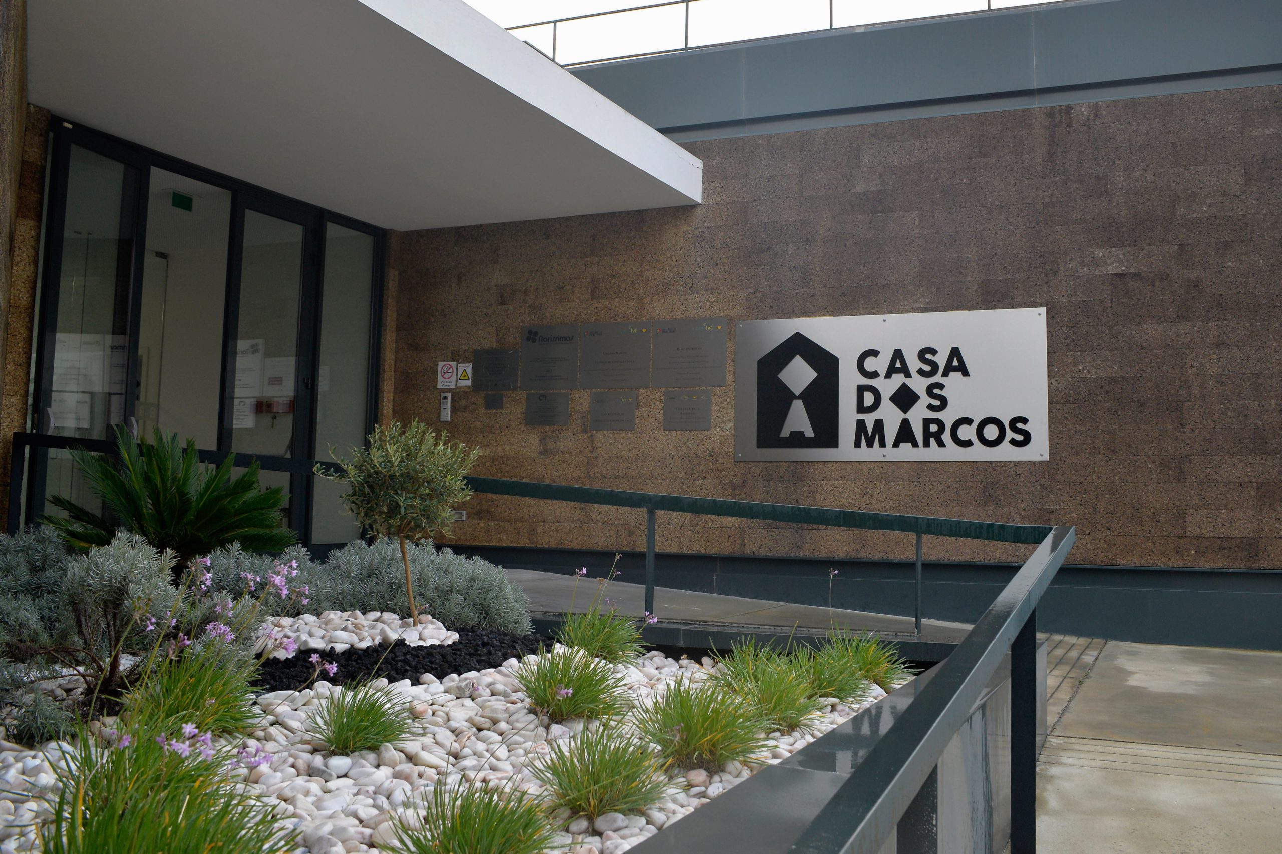 Raríssimas: IEFP diz que já analisou queixa apresentada por grupo de associados