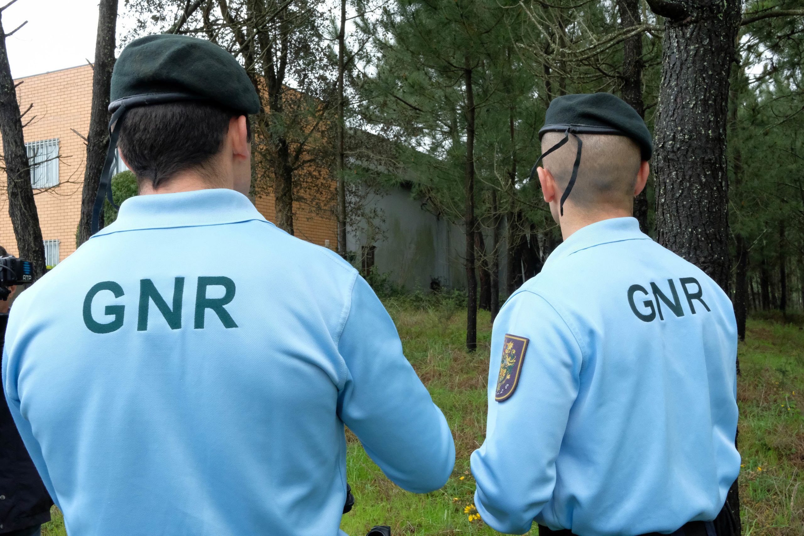 Incêndios: GNR vai aplicar coimas a 3.650 proprietários por falta de limpeza dos terrenos