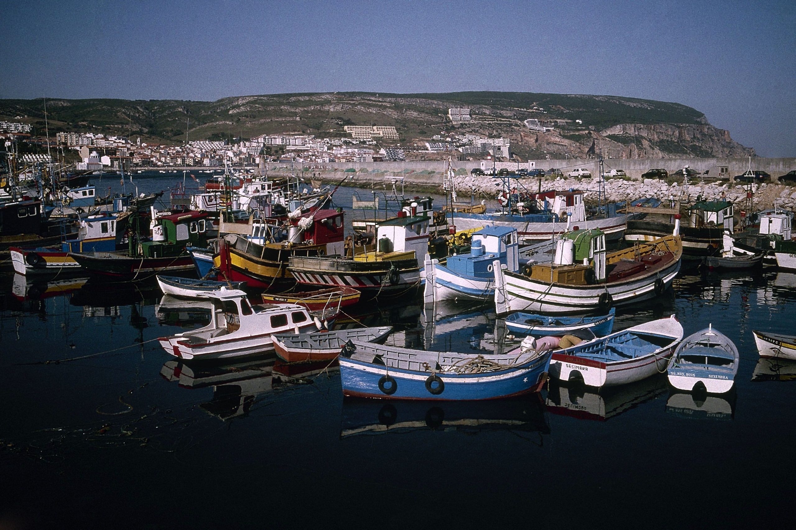 Mais de sete toneladas de peixe apreendidas no porto de Sesimbra