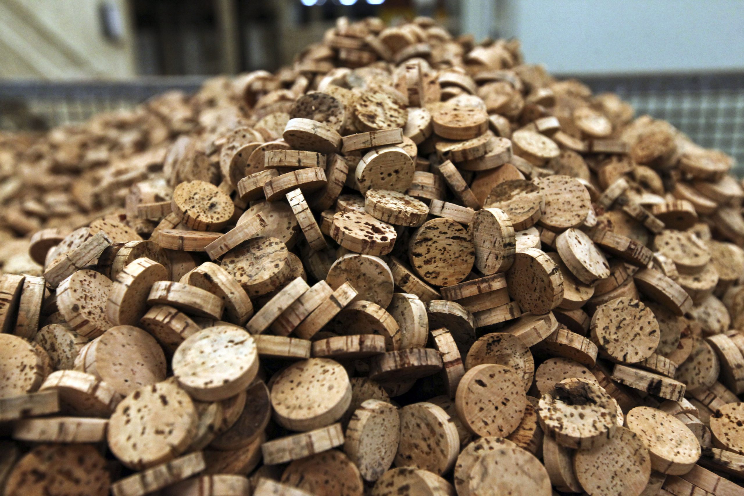 Lucro da Corticeira Amorim cai 10,8% até setembro
