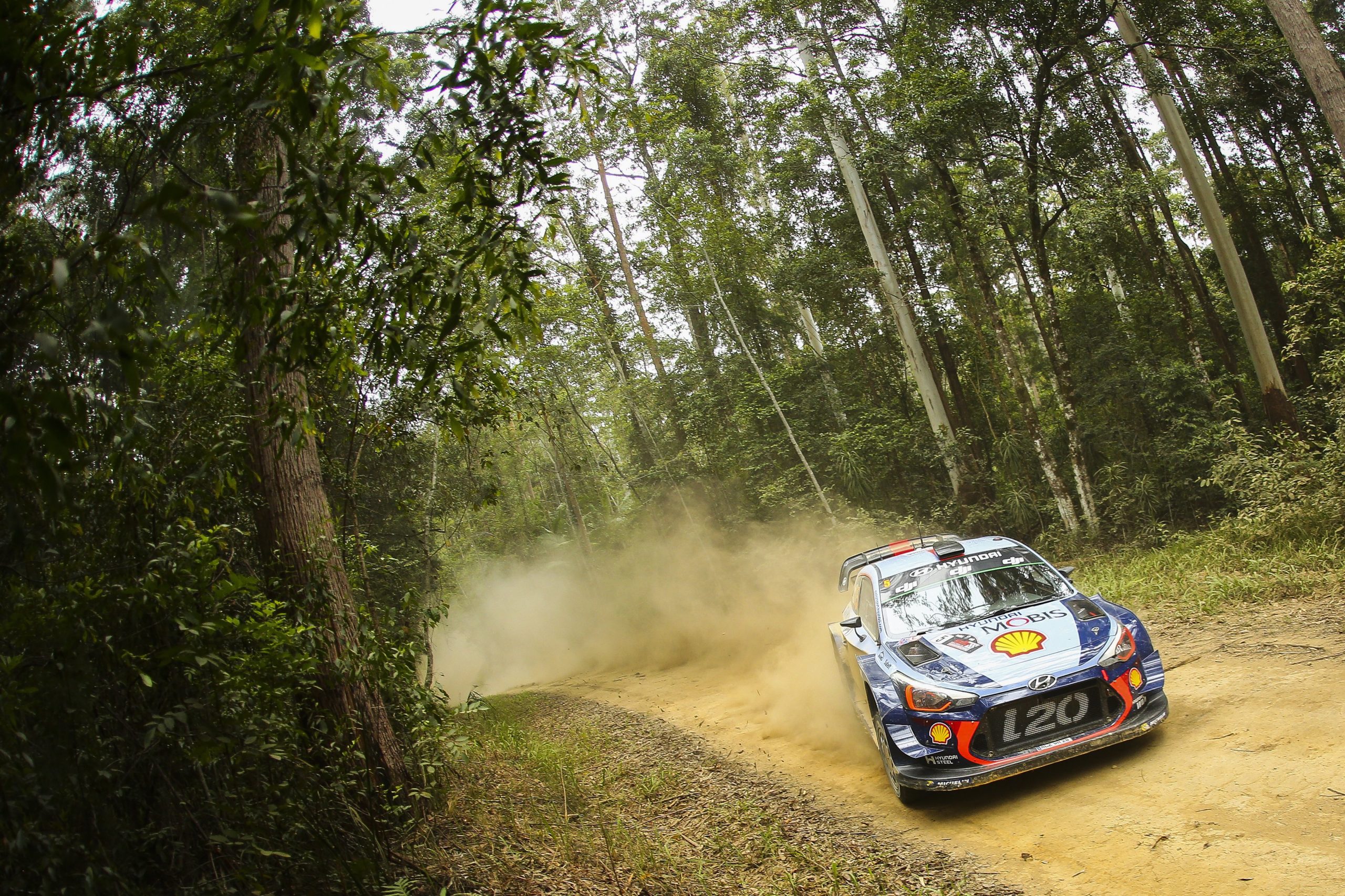 Neuville lidera Rali da Austrália, após acidente de Mikkelsen