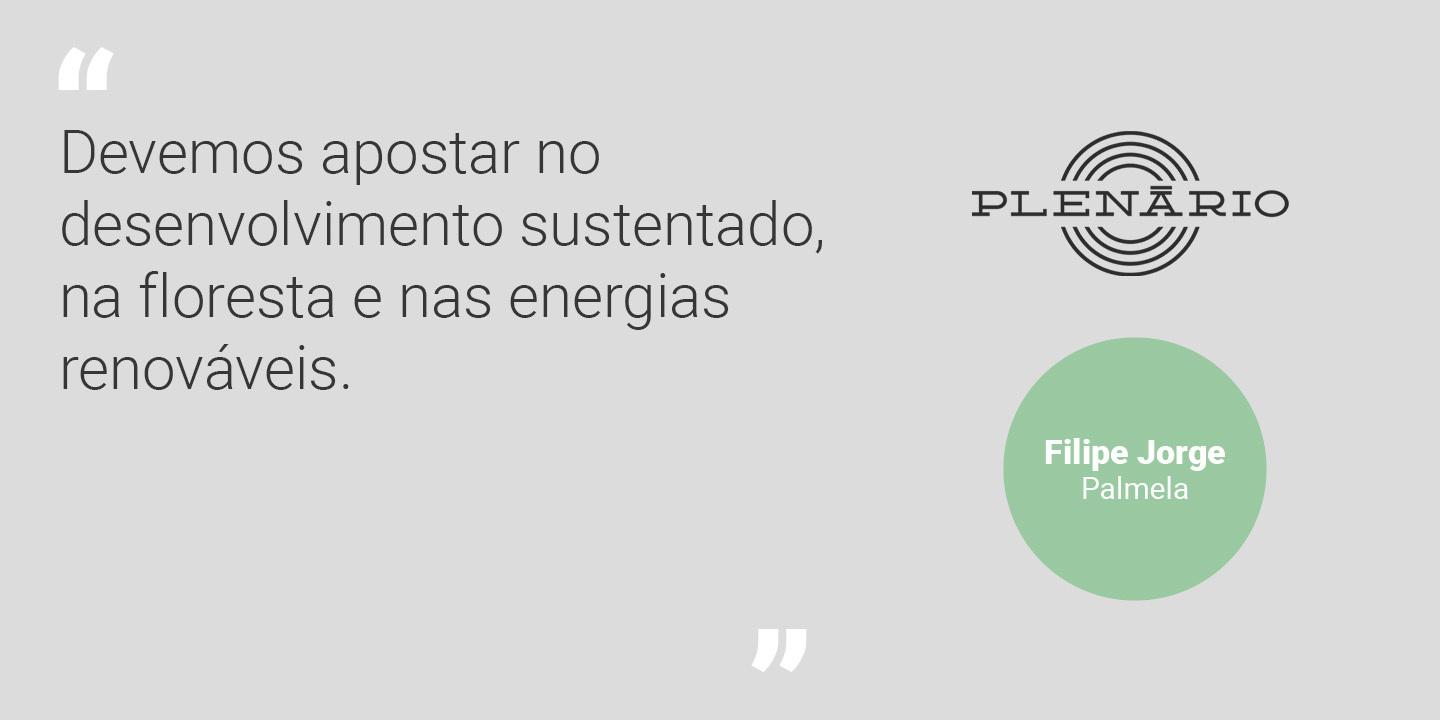 Filipe Jorge: “Devemos apostar no desenvolvimento sustentado, na floresta e nas energias renováveis”