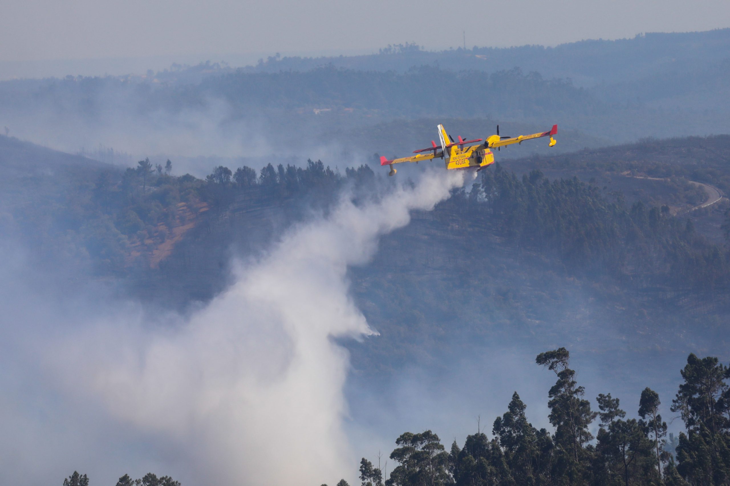 Vinte e cinco concelhos de cinco distritos estão hoje em perigo máximo de incêndio