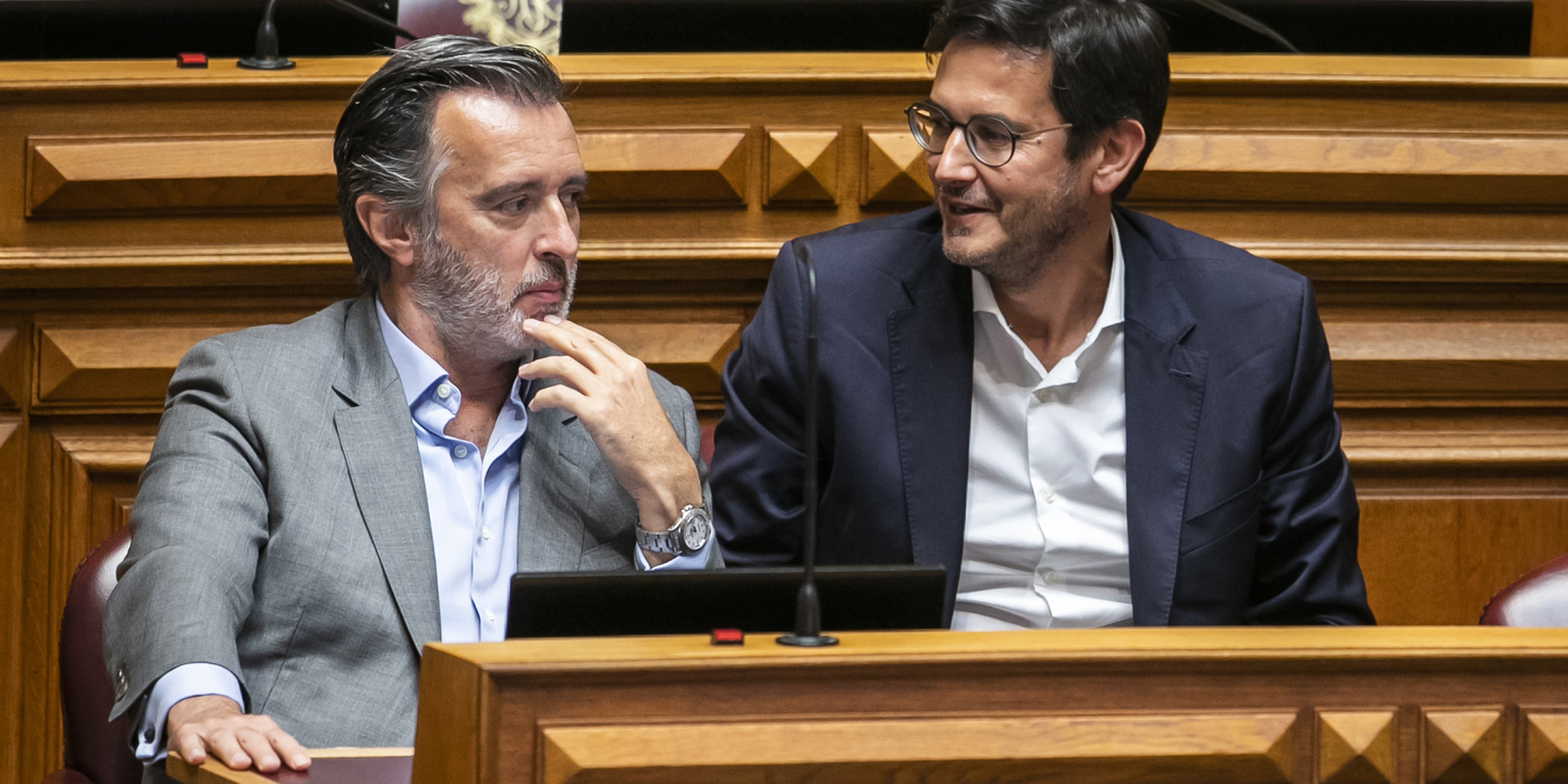 Europeias: Rocha e Cotrim de Figueiredo discursam este sábado em evento dos liberais europeus no Porto