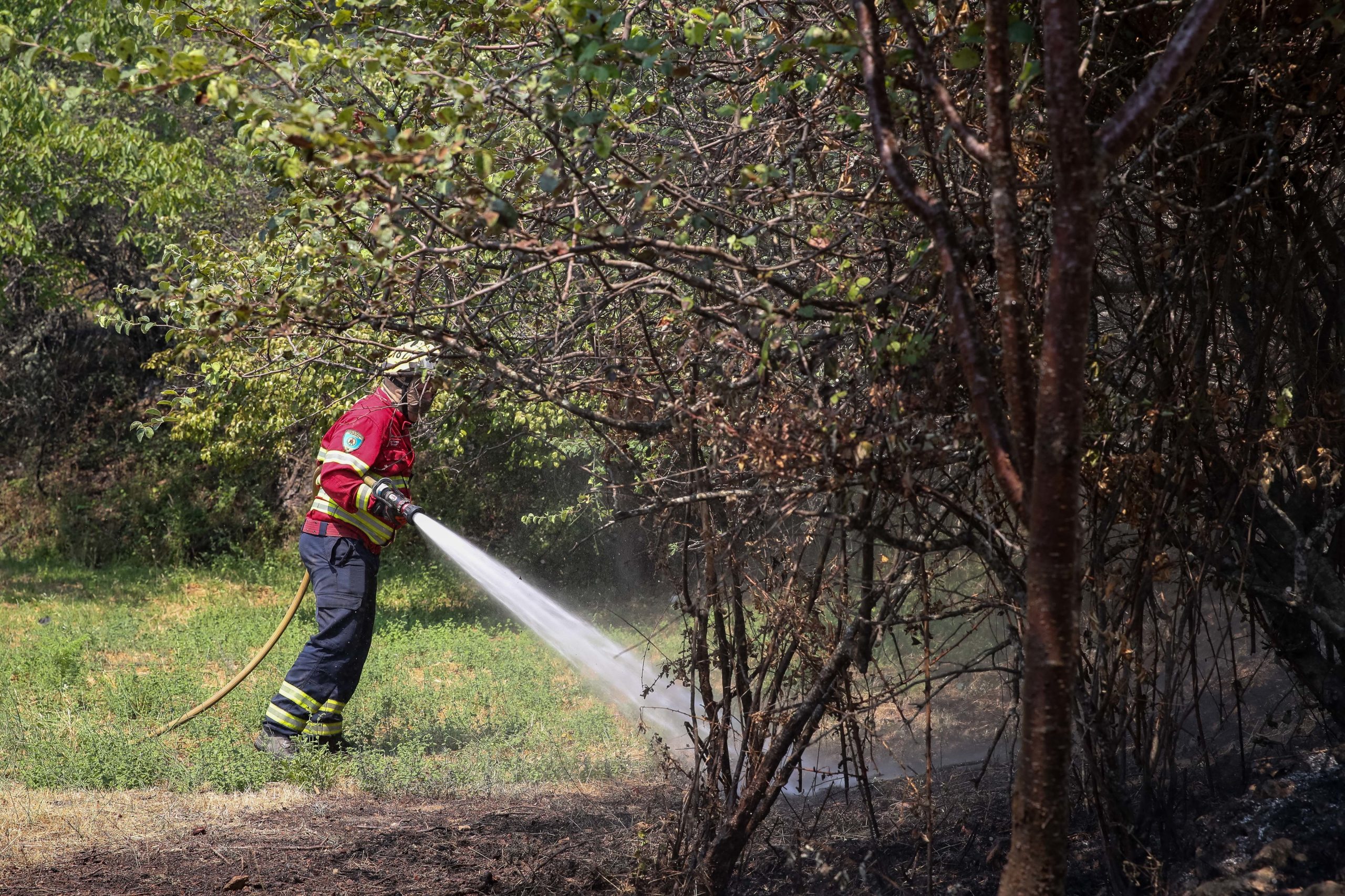 Incêndios: Dominado fogo rural na Sertã que chegou a ser combatido por oito meios aéreos