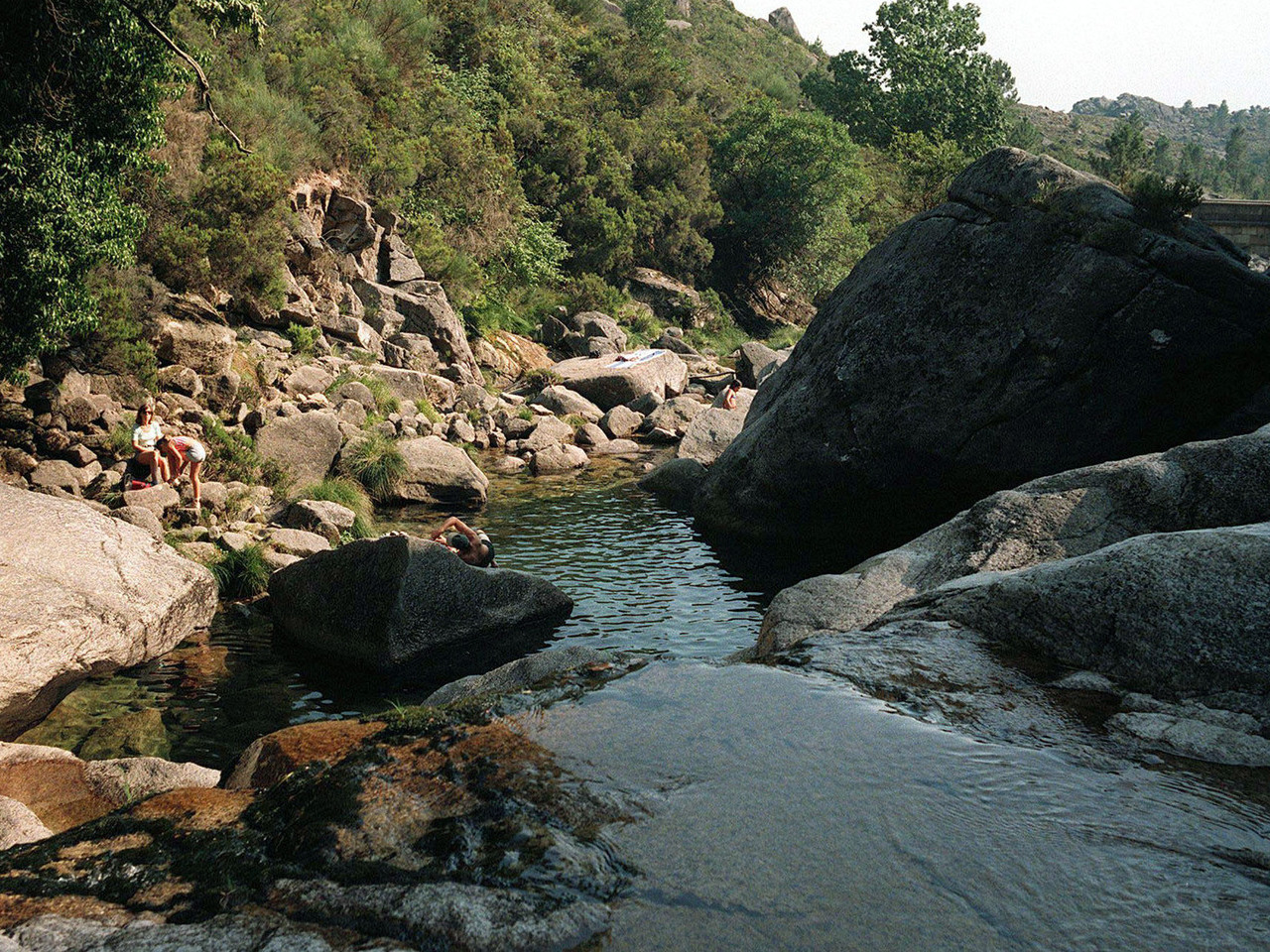Parque Peneda Gerês enfrenta “elevado abandono” e “envelhecimento profundo”