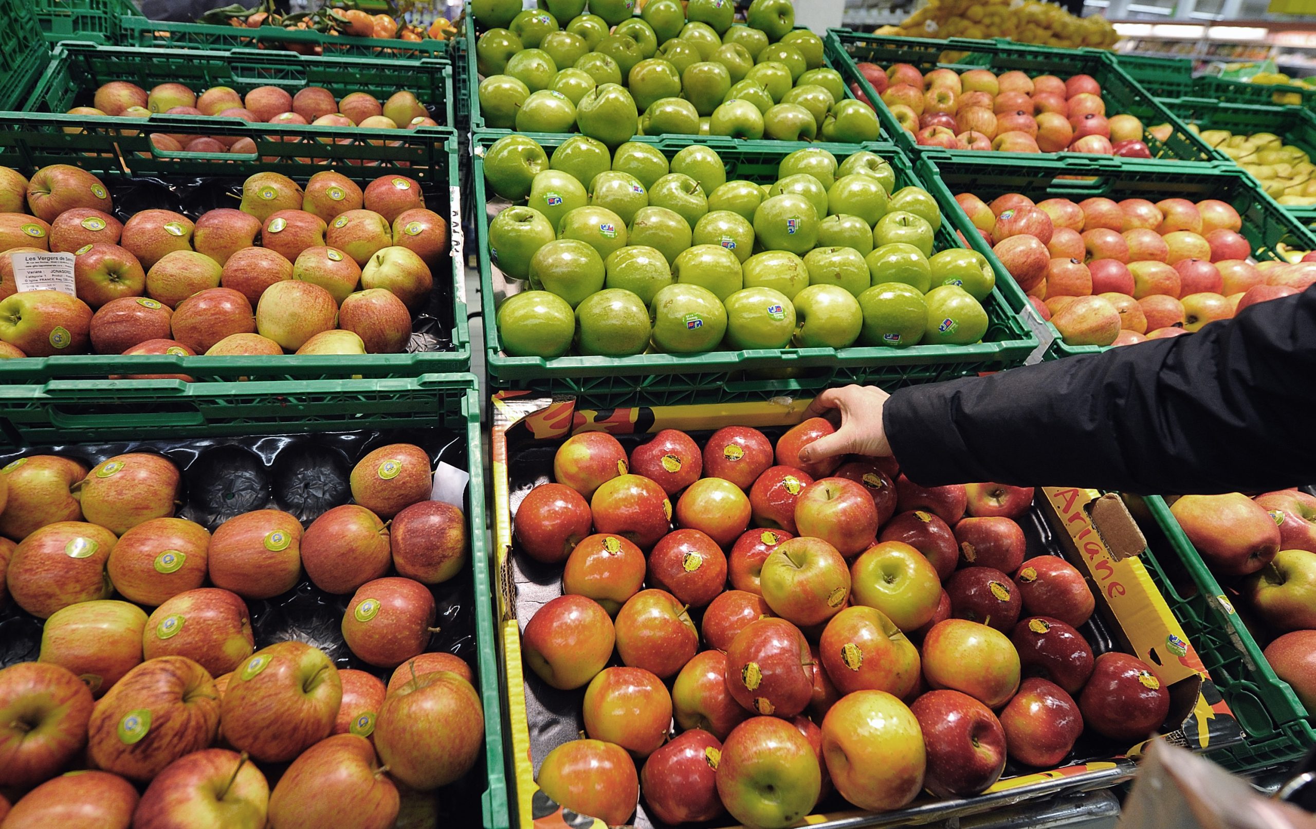 Loures cria incubadora de empresas para projetos agroalimentares, transportes e logística