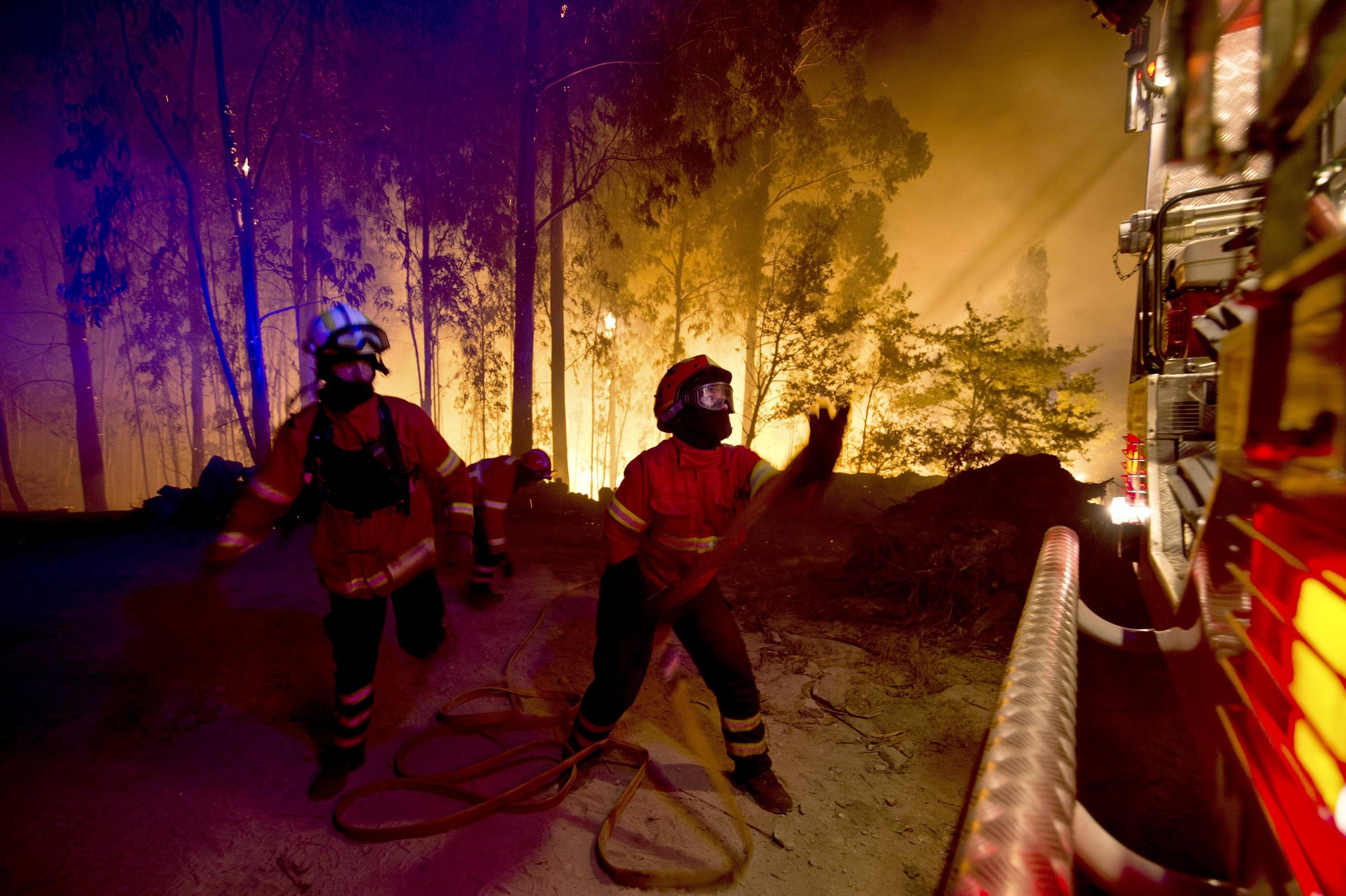 Liga Bombeiros : Videovigilância da floresta é positiva, mas deve ser acompanhada de outras medidas
