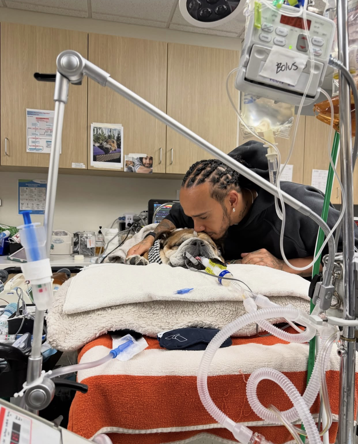 Lewis Hamilton partilha estado grave do seu cão Roscoe e apela ao apoio dos seguidores: “Não sabemos se vai acordar”