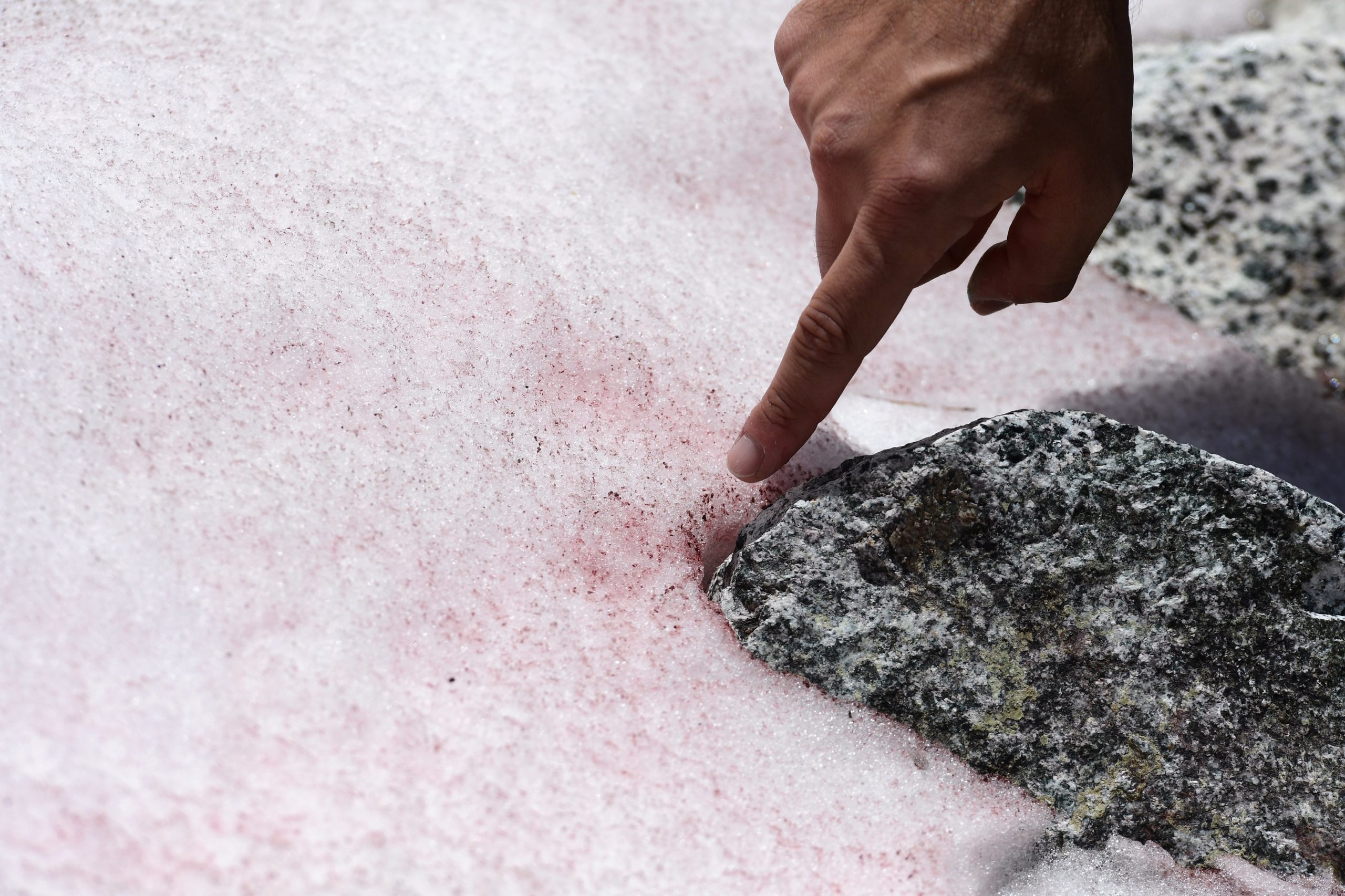 Cientistas investigam misteriosa neve rosa num glaciar dos Alpes italianos