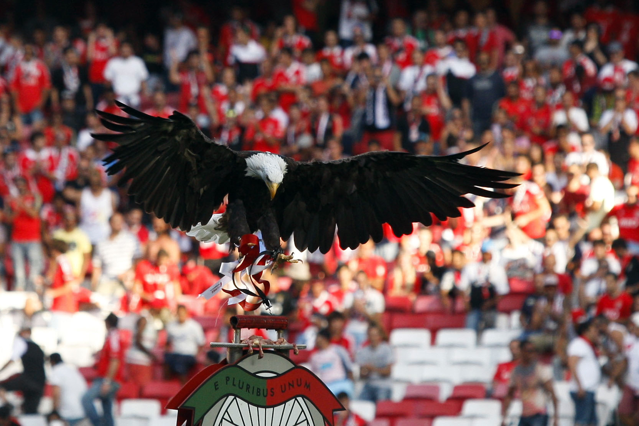 Benfica vai a votos a 27 de outubro. Vieira é o único candidato