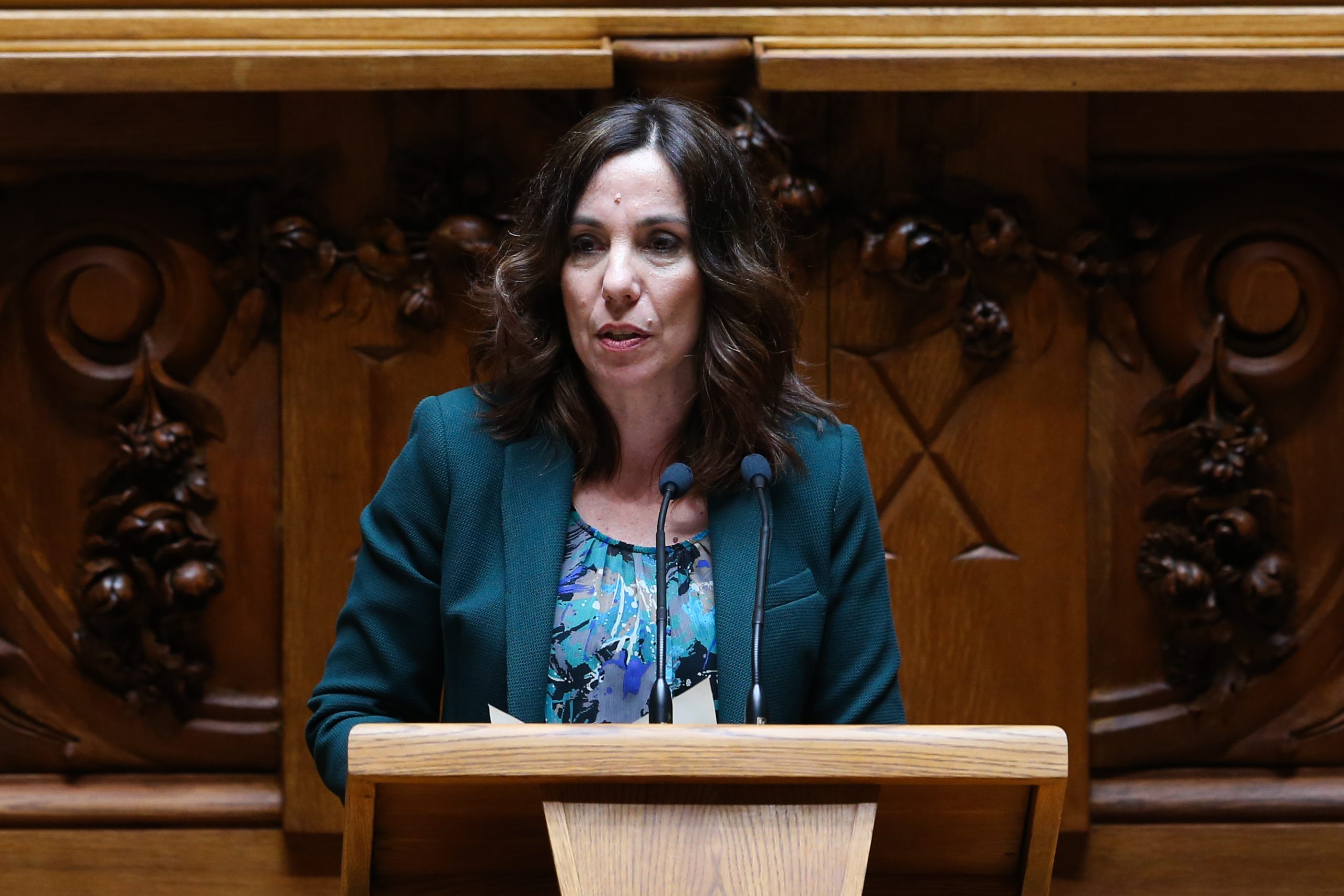 OE2019. “Verdes” a “trabalhar afincadamente” pela continuidade na reposição de rendimentos