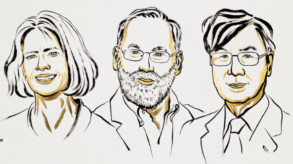 Nobel da Medicina atribuído aos imunologistas Mary E. Brunkow, Fred Ramsdell e Shimon Sakaguchi