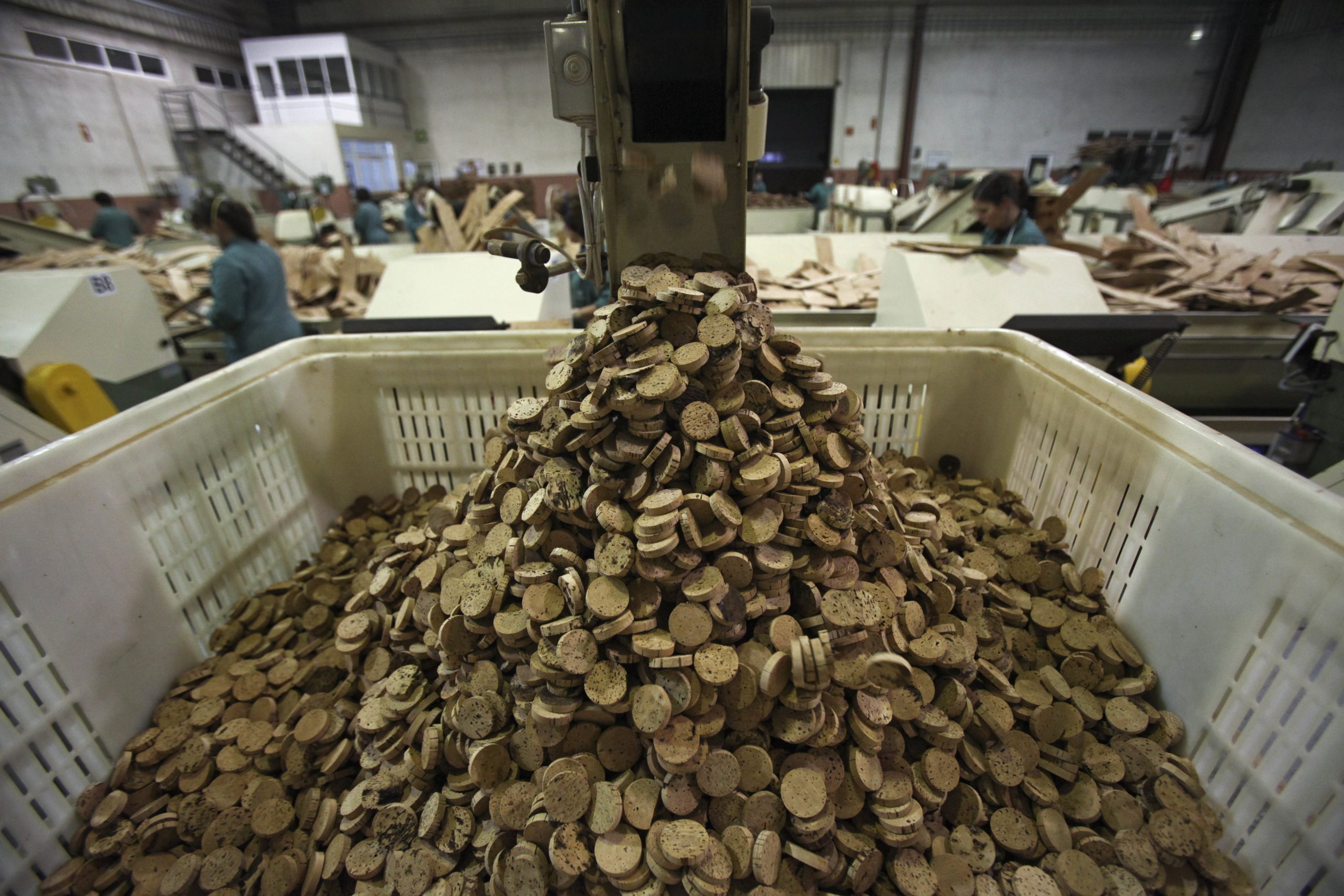 Lucro da Corticeira Amorim aumenta 4,0% até setembro e soma 58,6 milhões de euros
