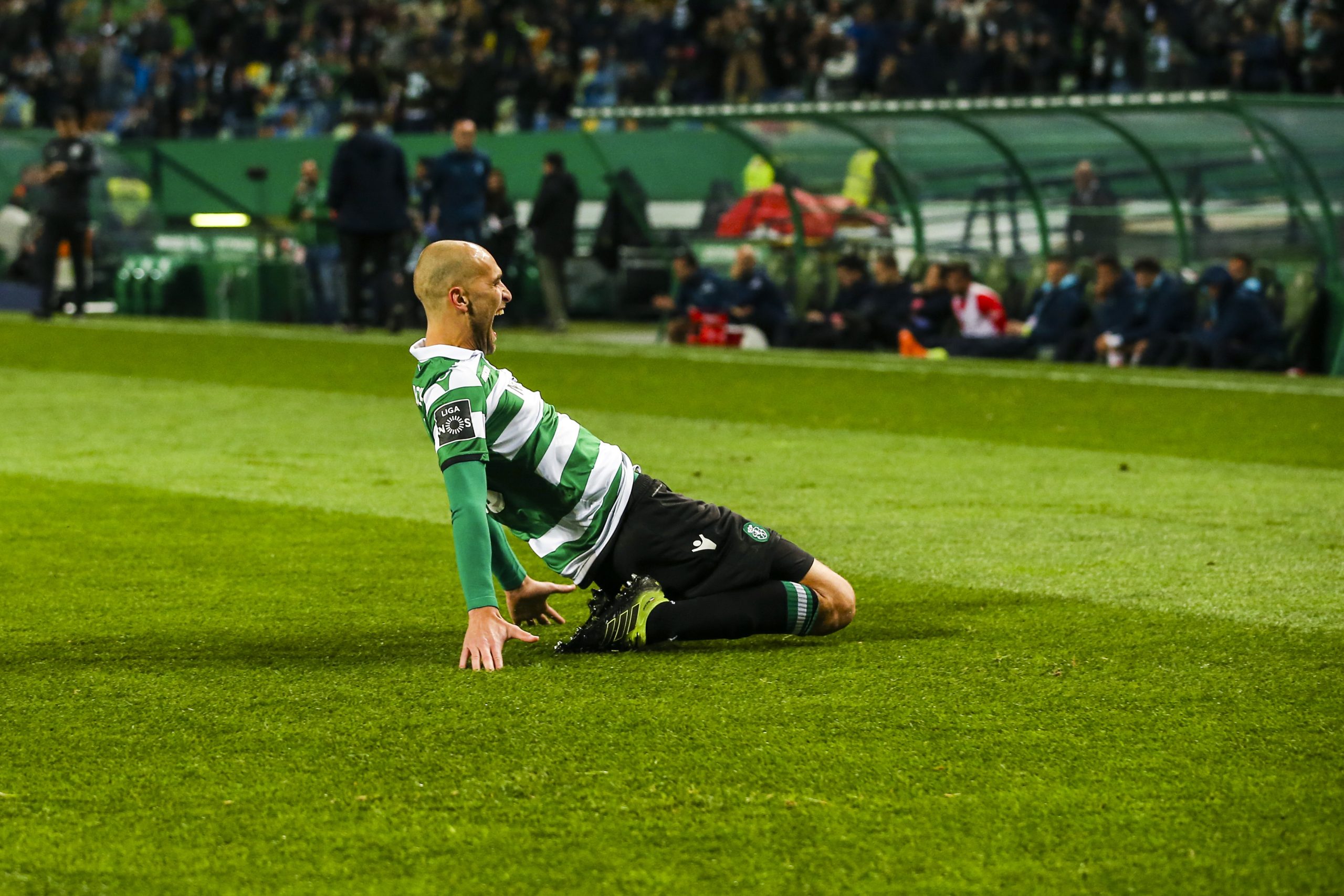 Bas Dost permanece em tratamento no Sporting