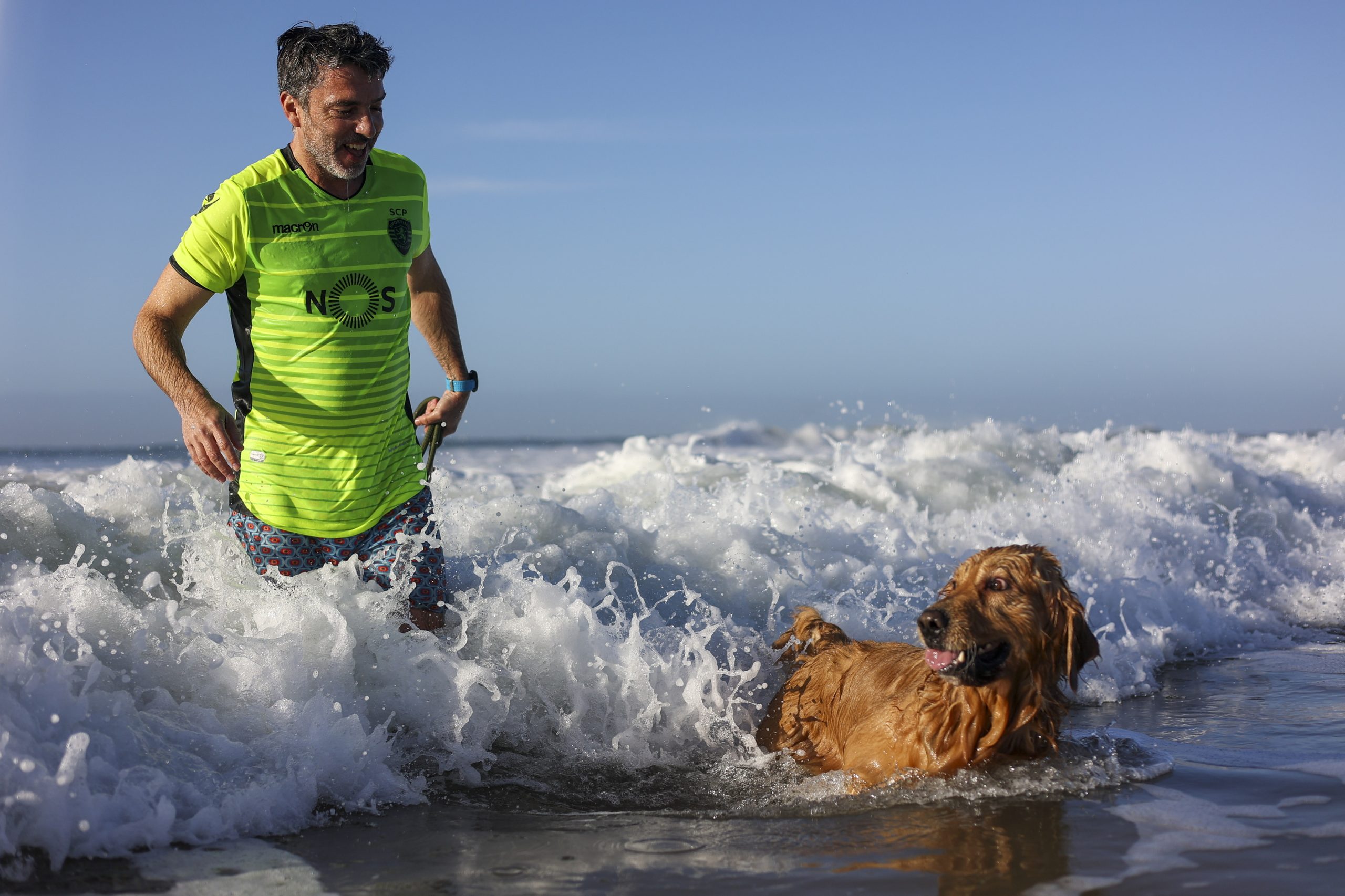 PAN propõe alteração de lei para animais de companhia frequentarem as praias portuguesas