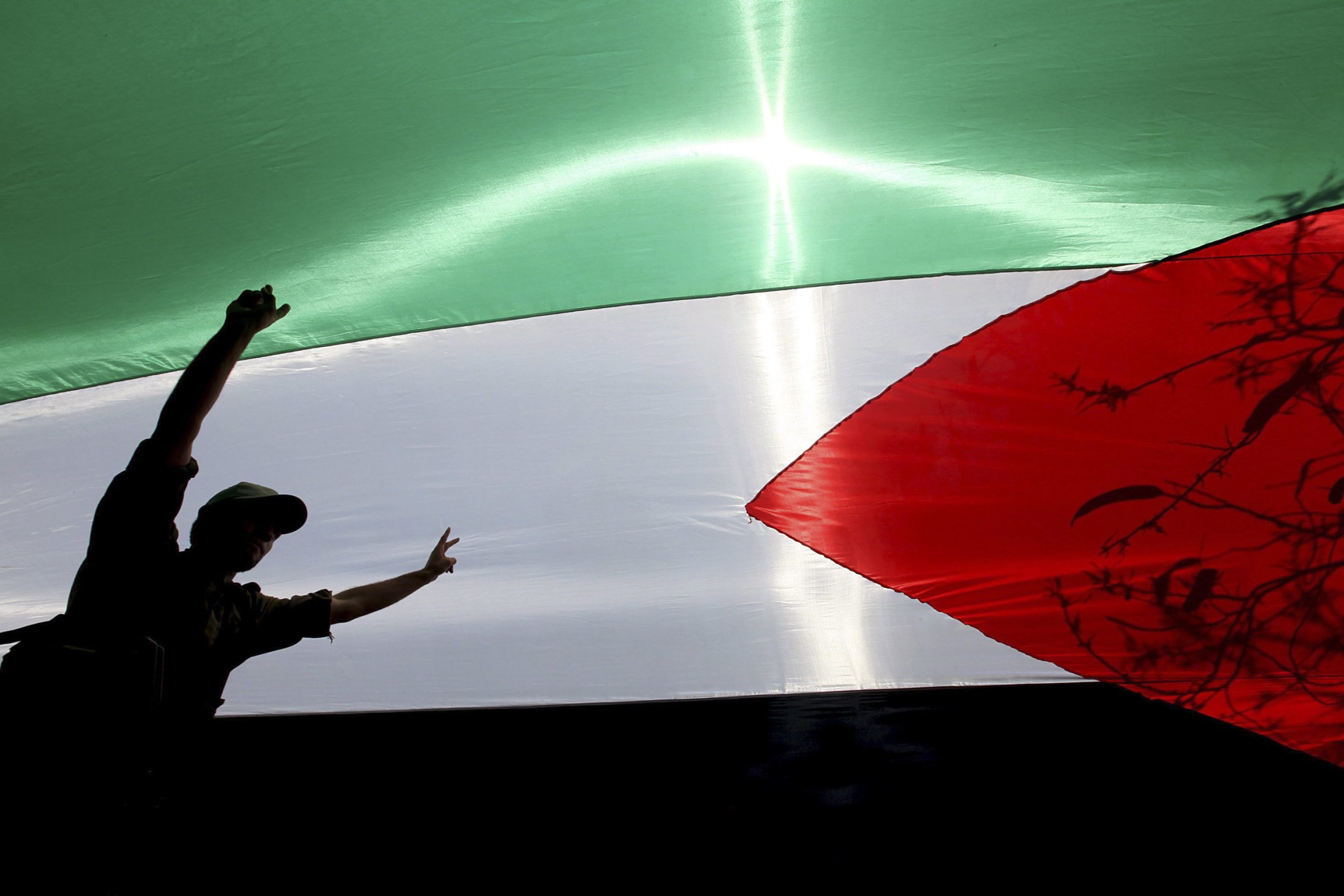 Dez países, incluindo Portugal, vão reconhecer Estado da Palestina segunda-feira