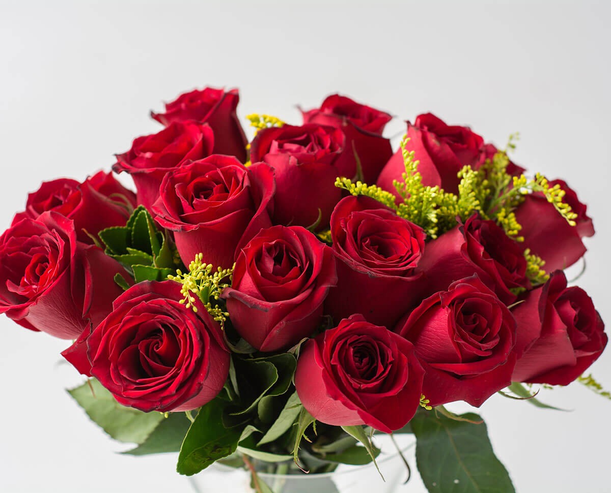 Rosas do Dia dos Namorados apresentam elevados níveis de pesticidas