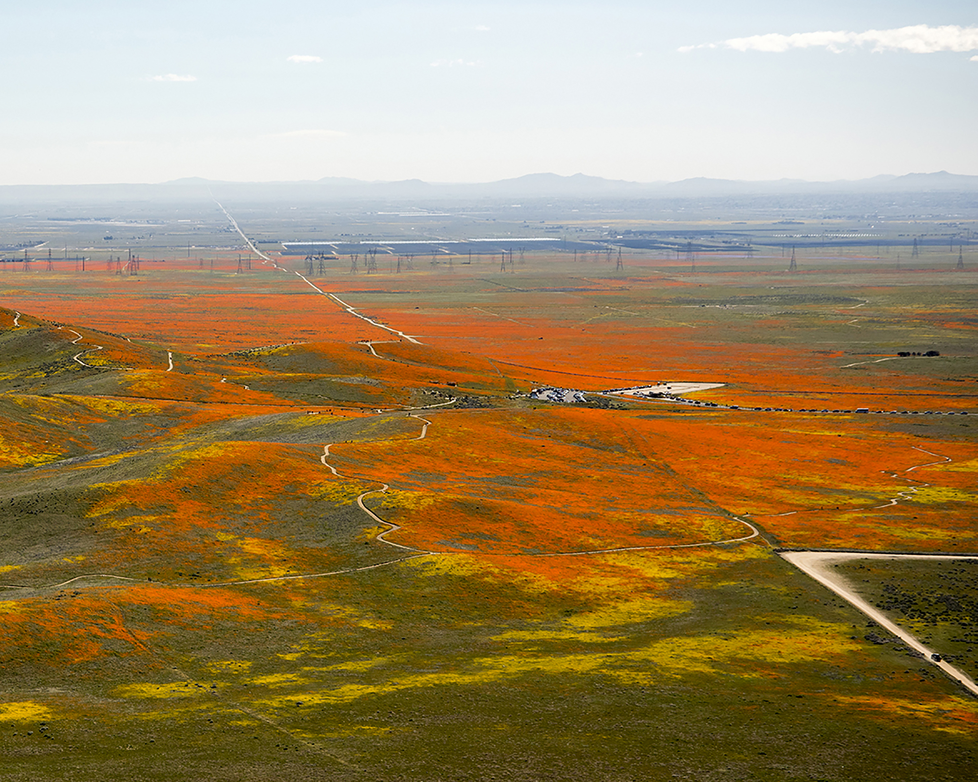 Não é uma miragem, é mesmo um deserto cheio de flores