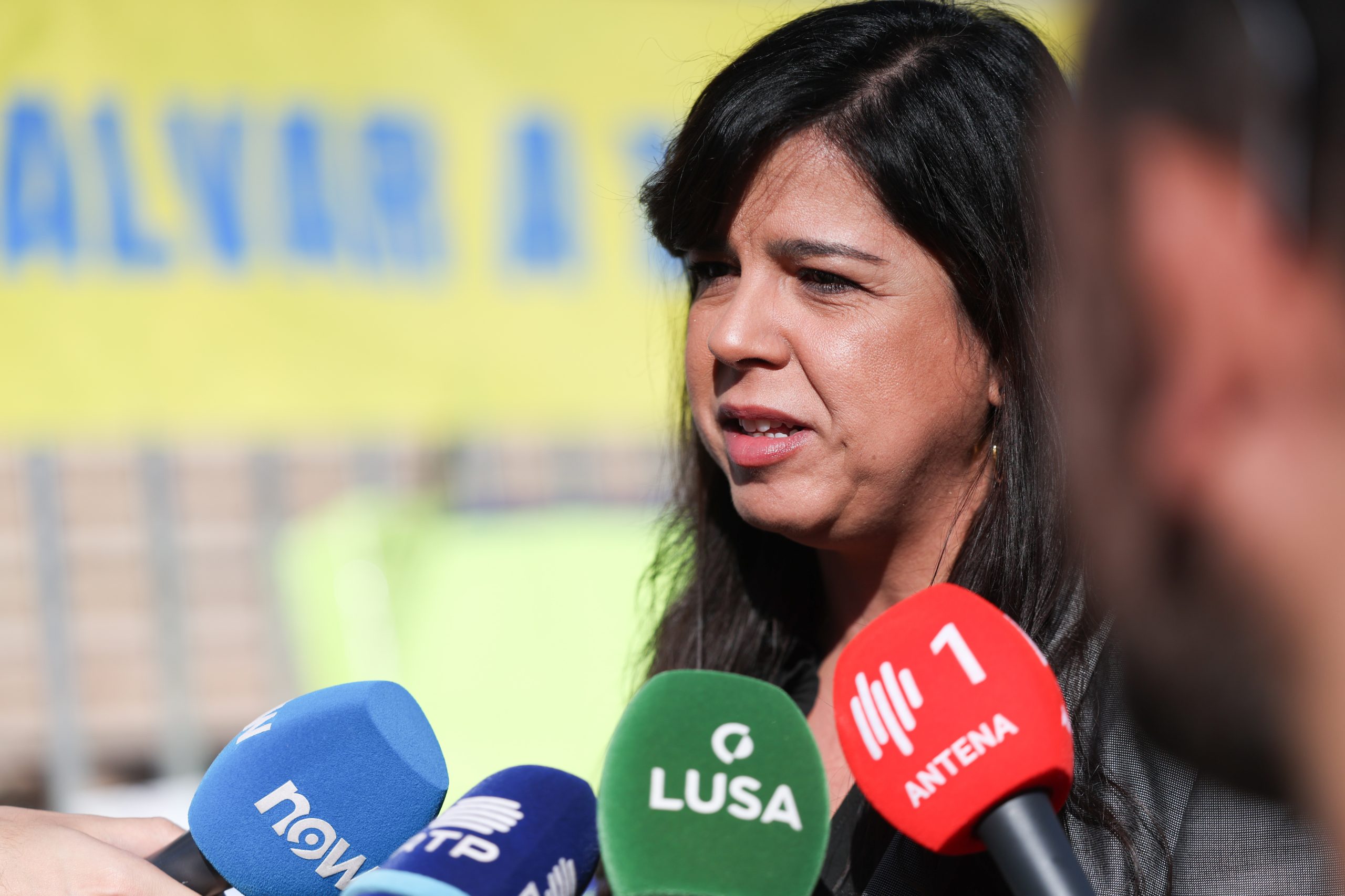 Membros da direção do PAN apresentam demissão em desacordo com liderança de Inês de Sousa Real
