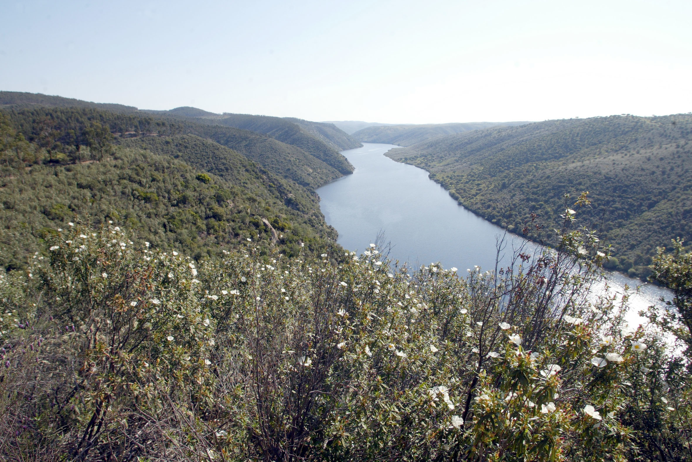 Parque do Tejo Internacional recebe 273 mil euros do Fundo Ambiental